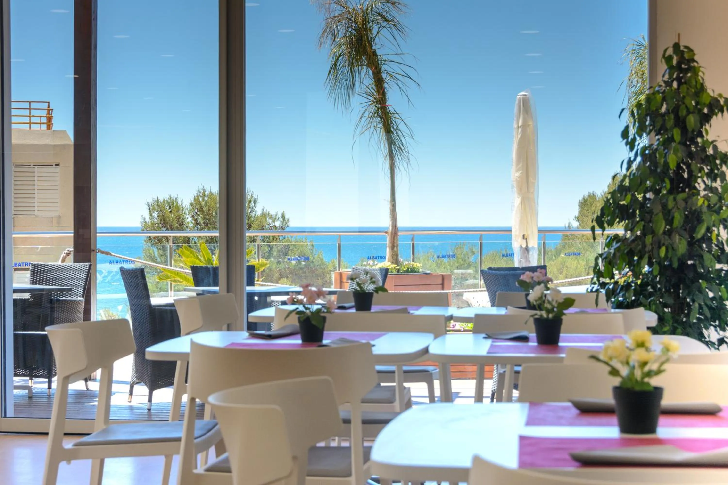 Lounge or bar in Albatros Family