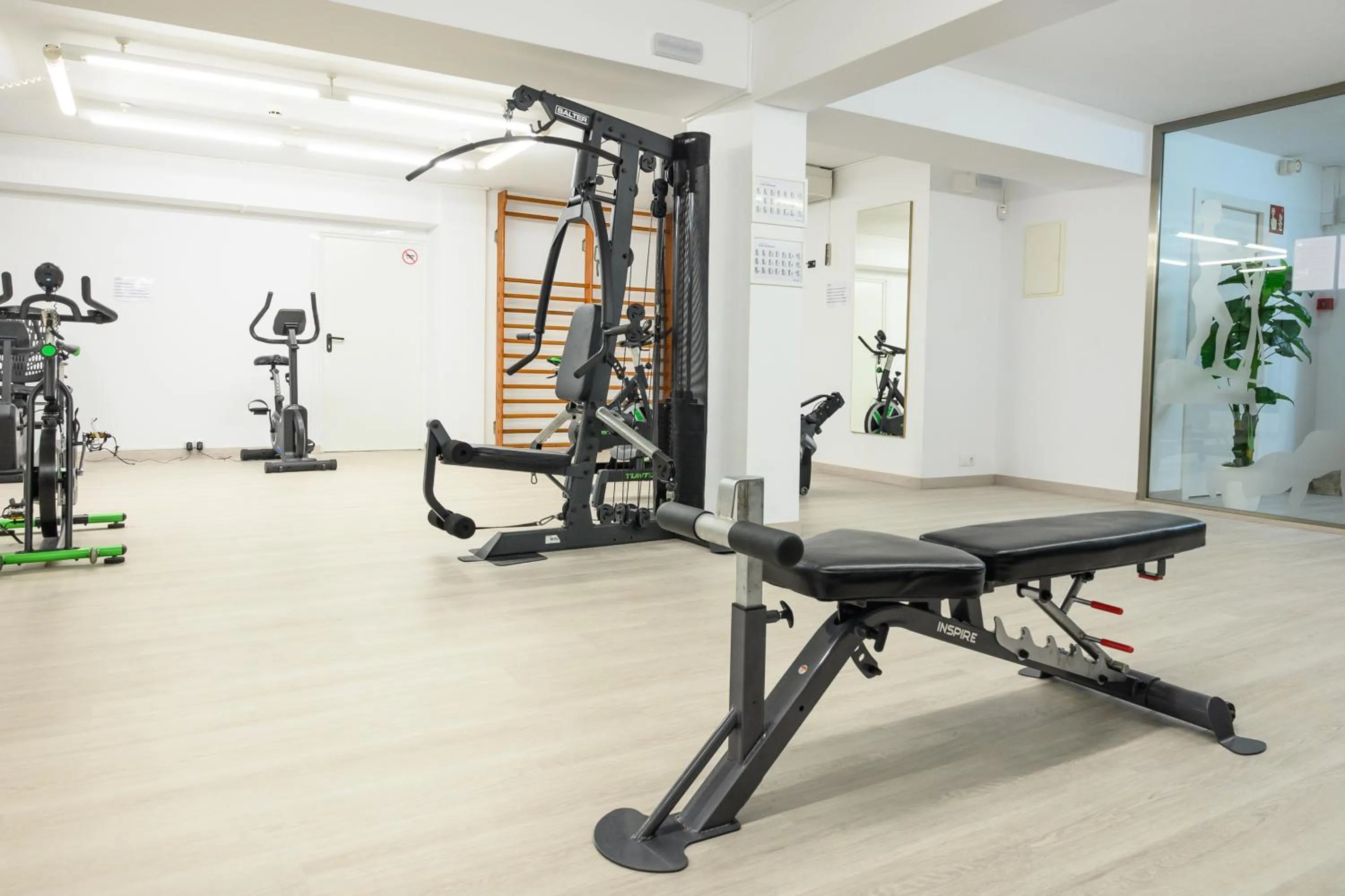Fitness centre/facilities in Albatros Family