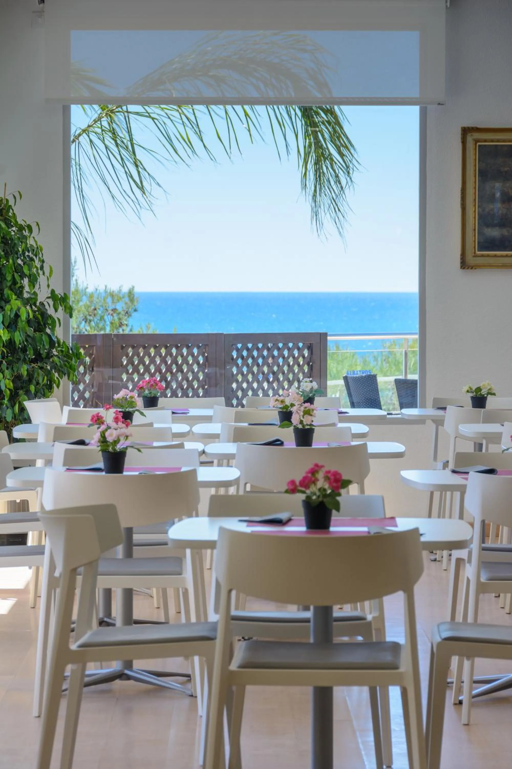 Restaurant/places to eat in Albatros Family