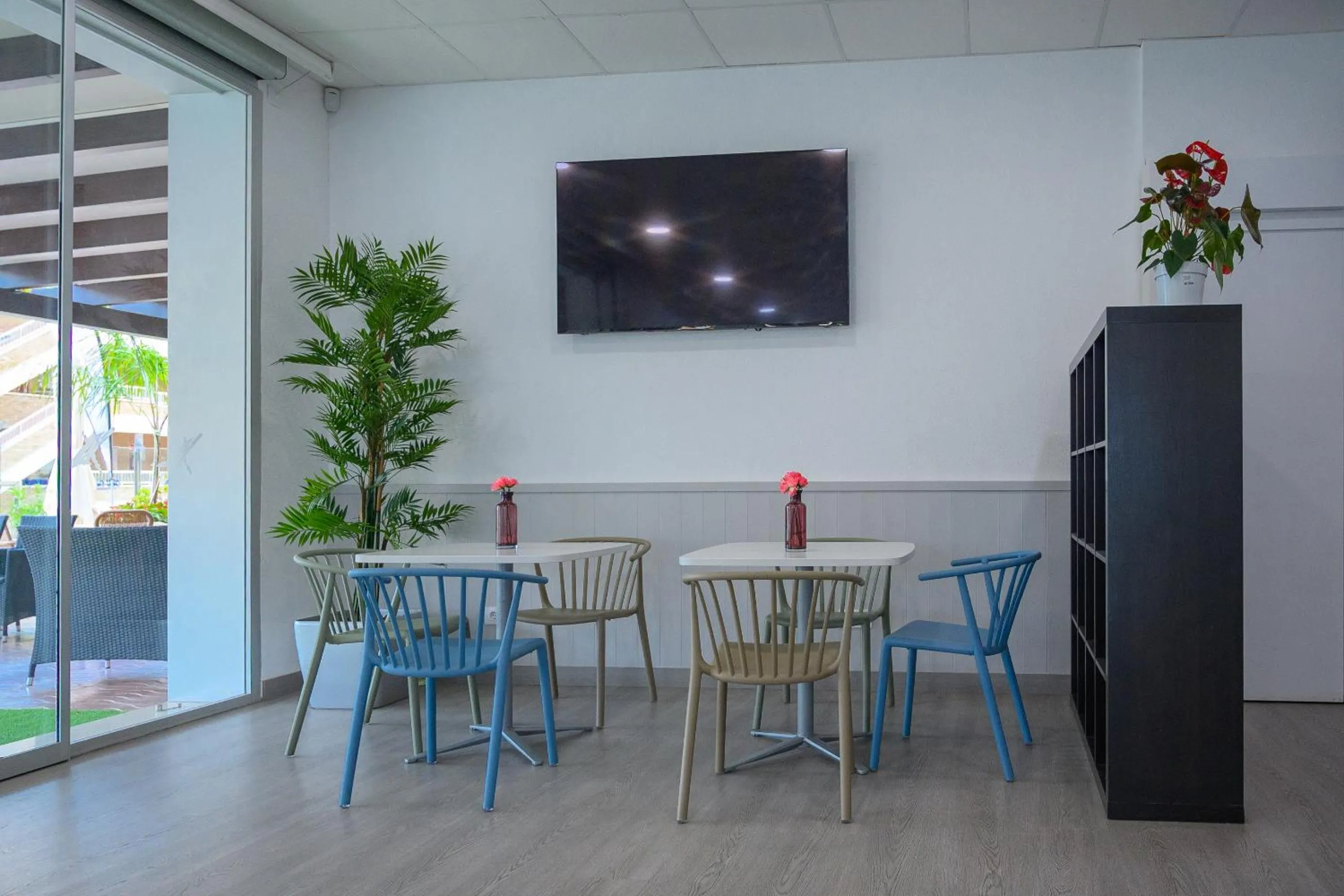 TV and multimedia in Albatros Family