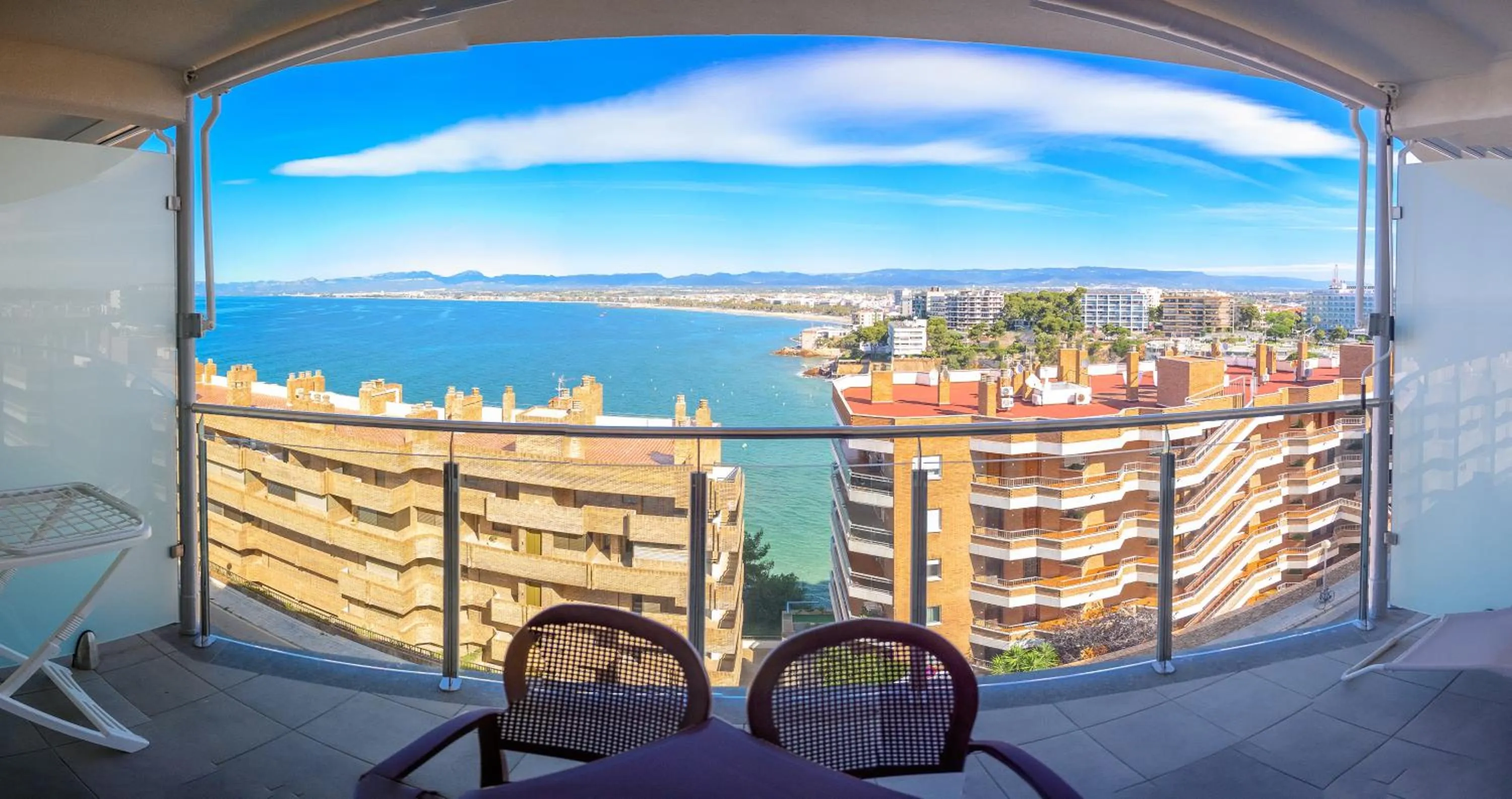 Day in Albatros Family