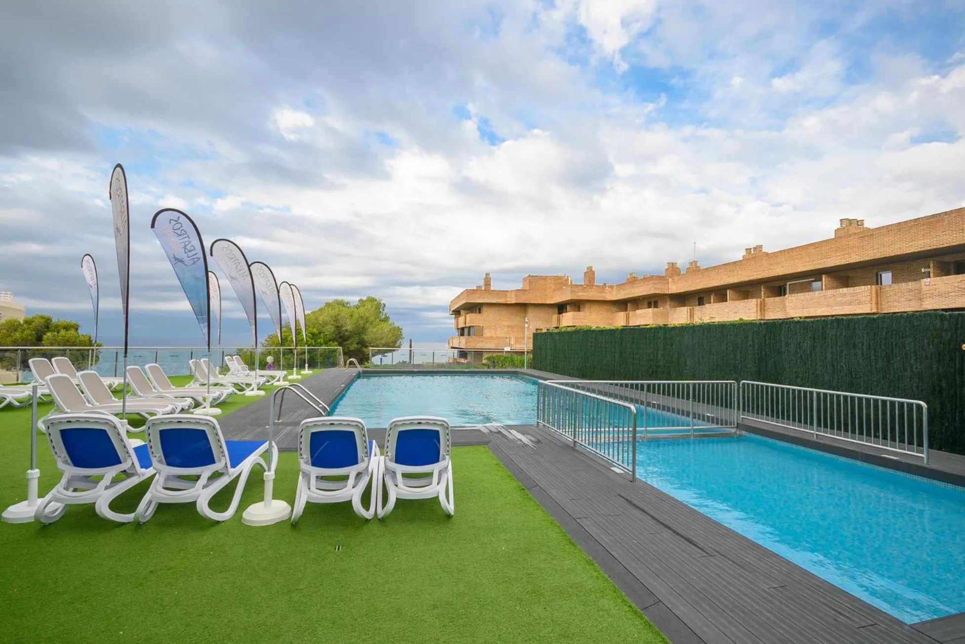 Day in Albatros Family