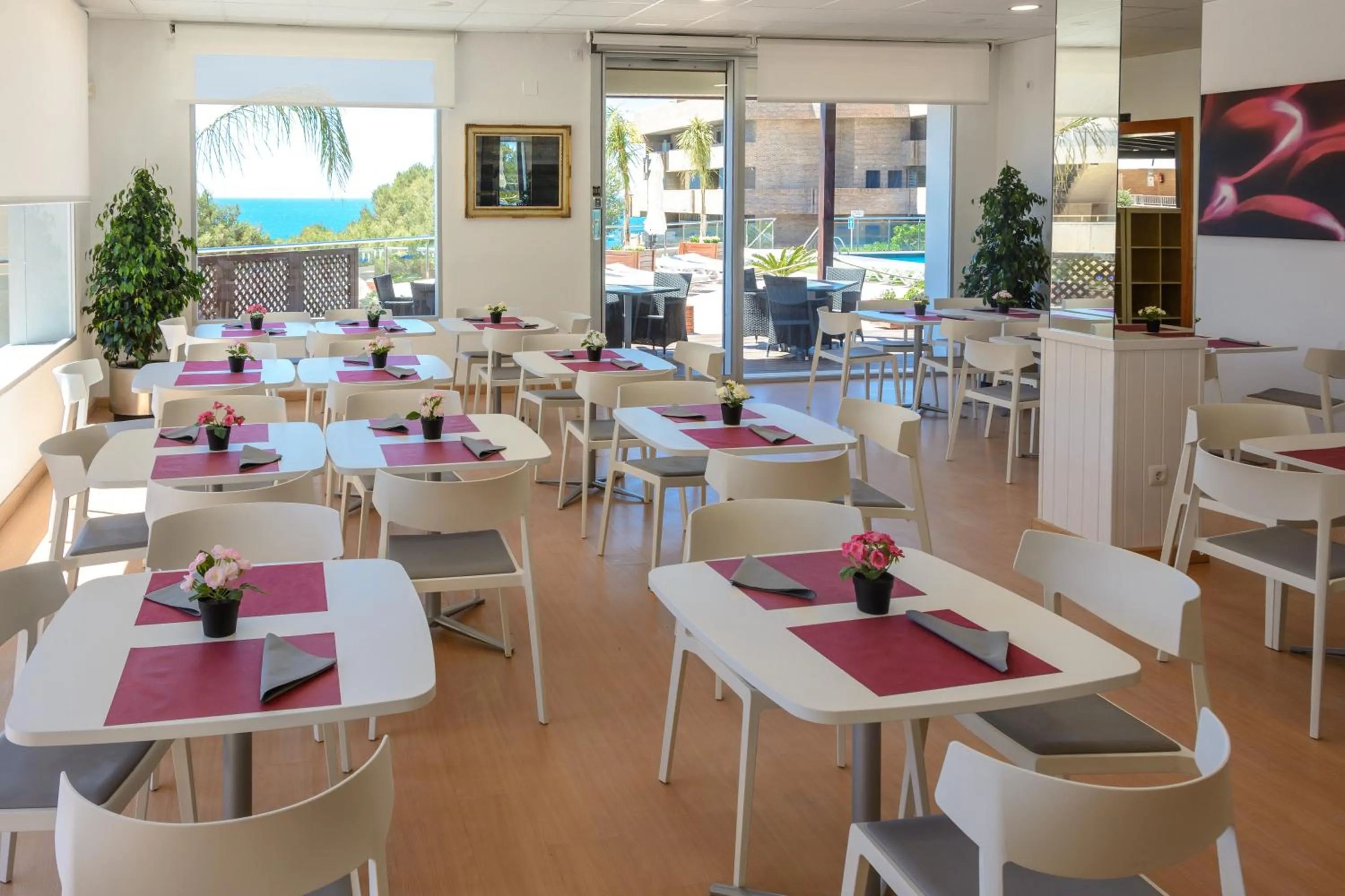 Restaurant/places to eat in Albatros Family