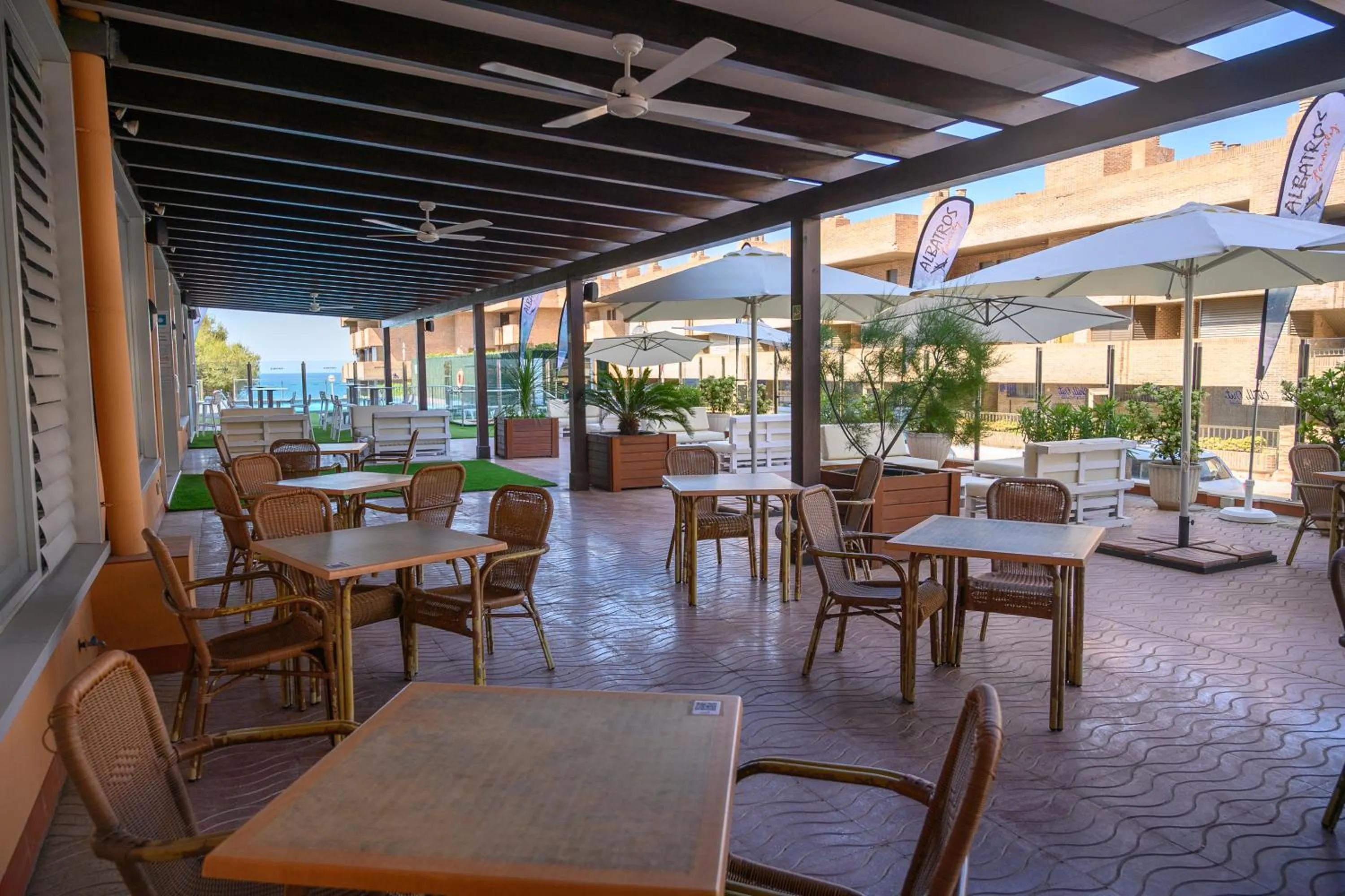 Lounge or bar in Albatros Family