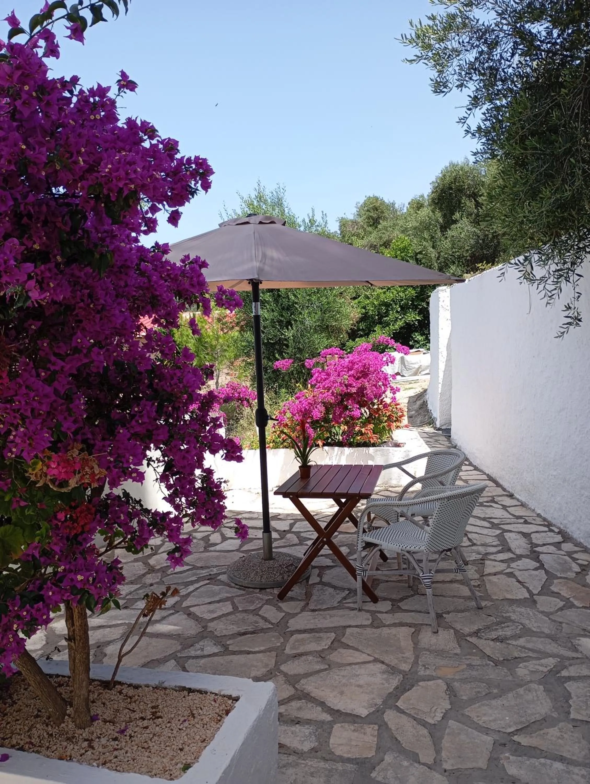 Natural landscape in Vicky's Panoramic View Apartments