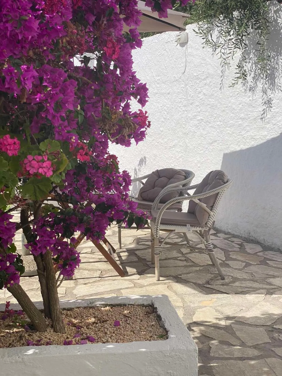 Garden in Vicky's Panoramic View Apartments