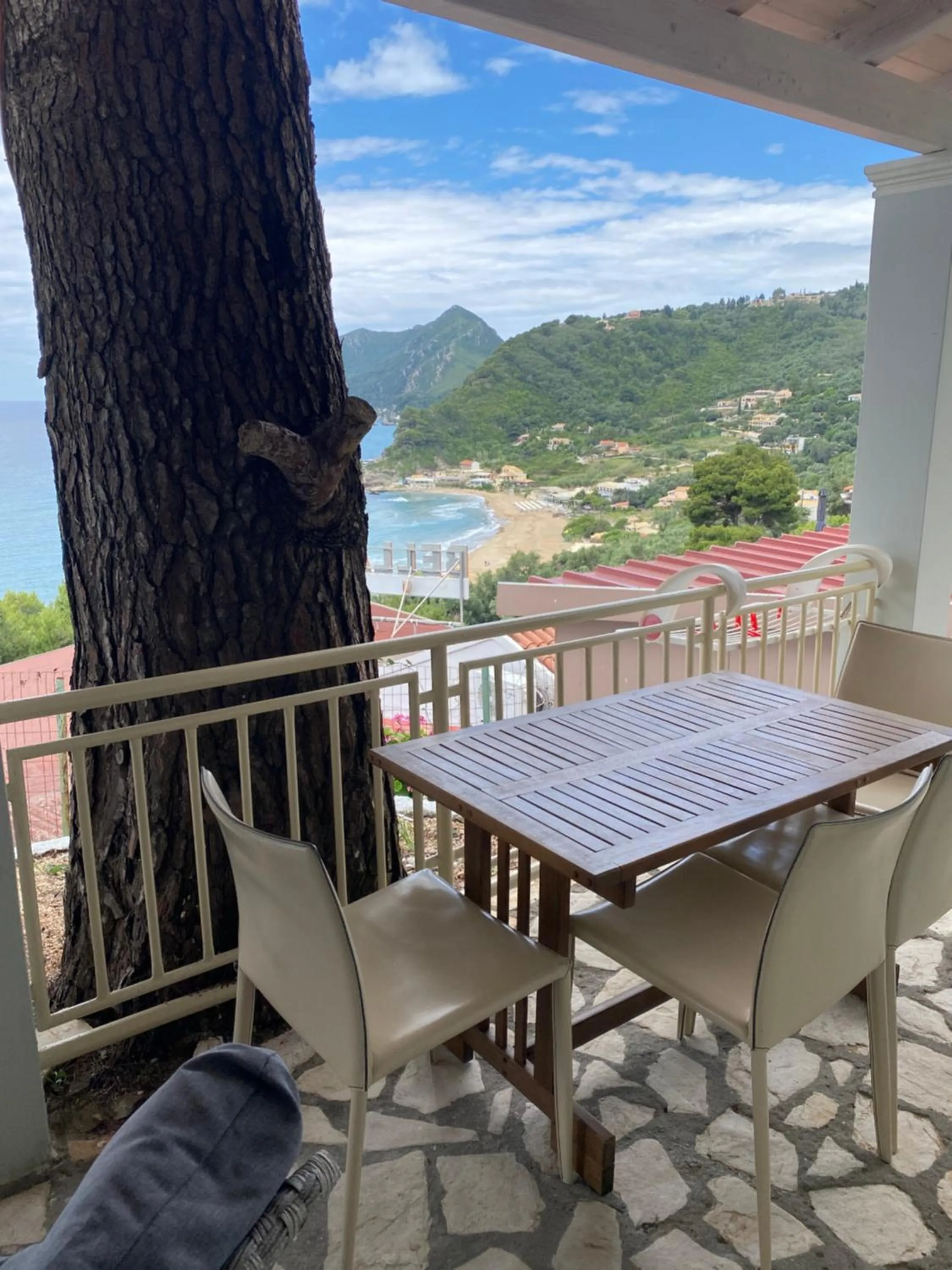 Vicky's Panoramic View Apartments