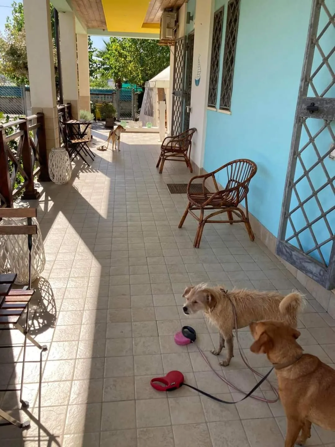Patio in B&B Oasi al Mare
