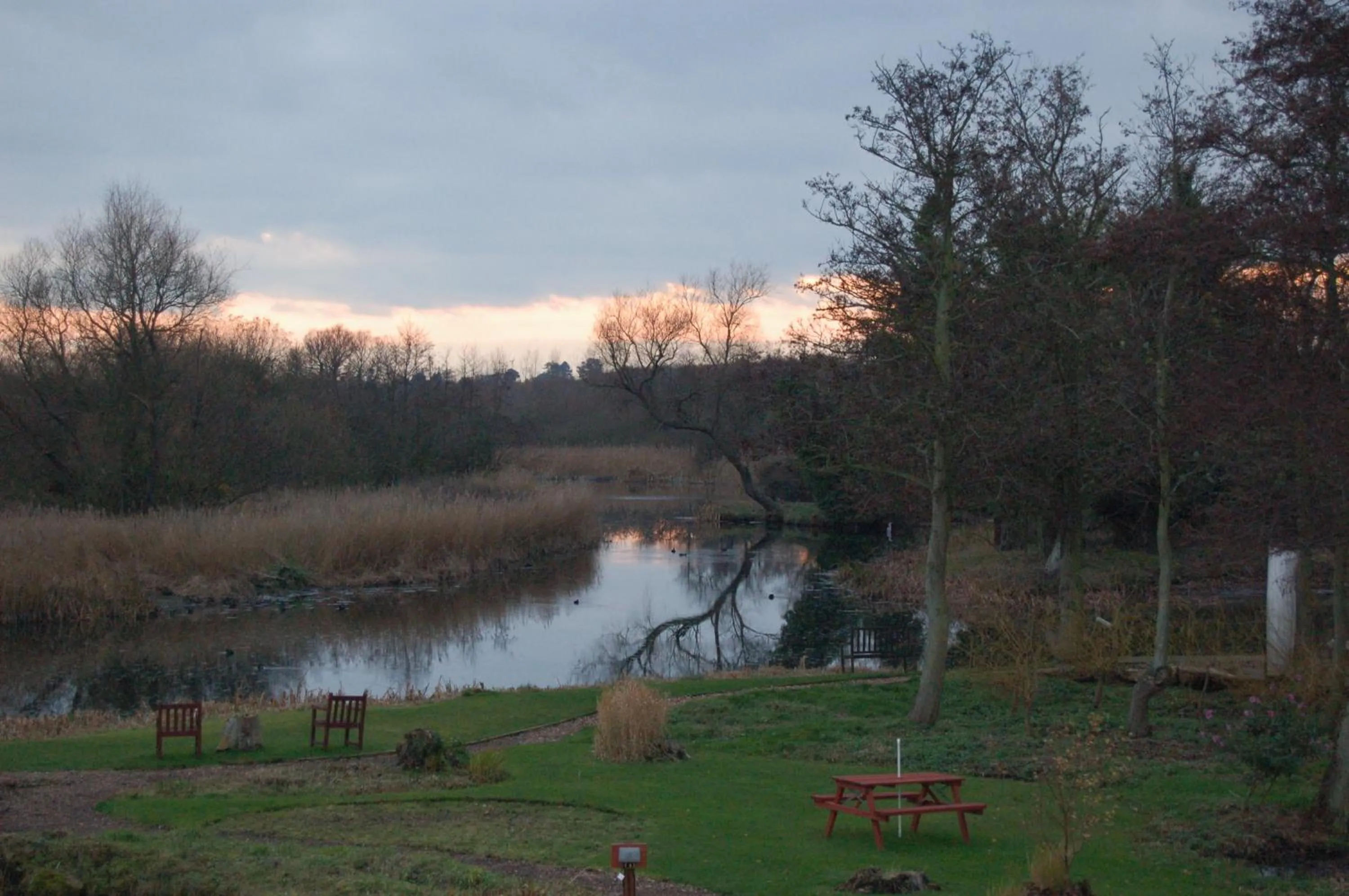 Natural landscape in Thorpeness Golf Club and Hotel