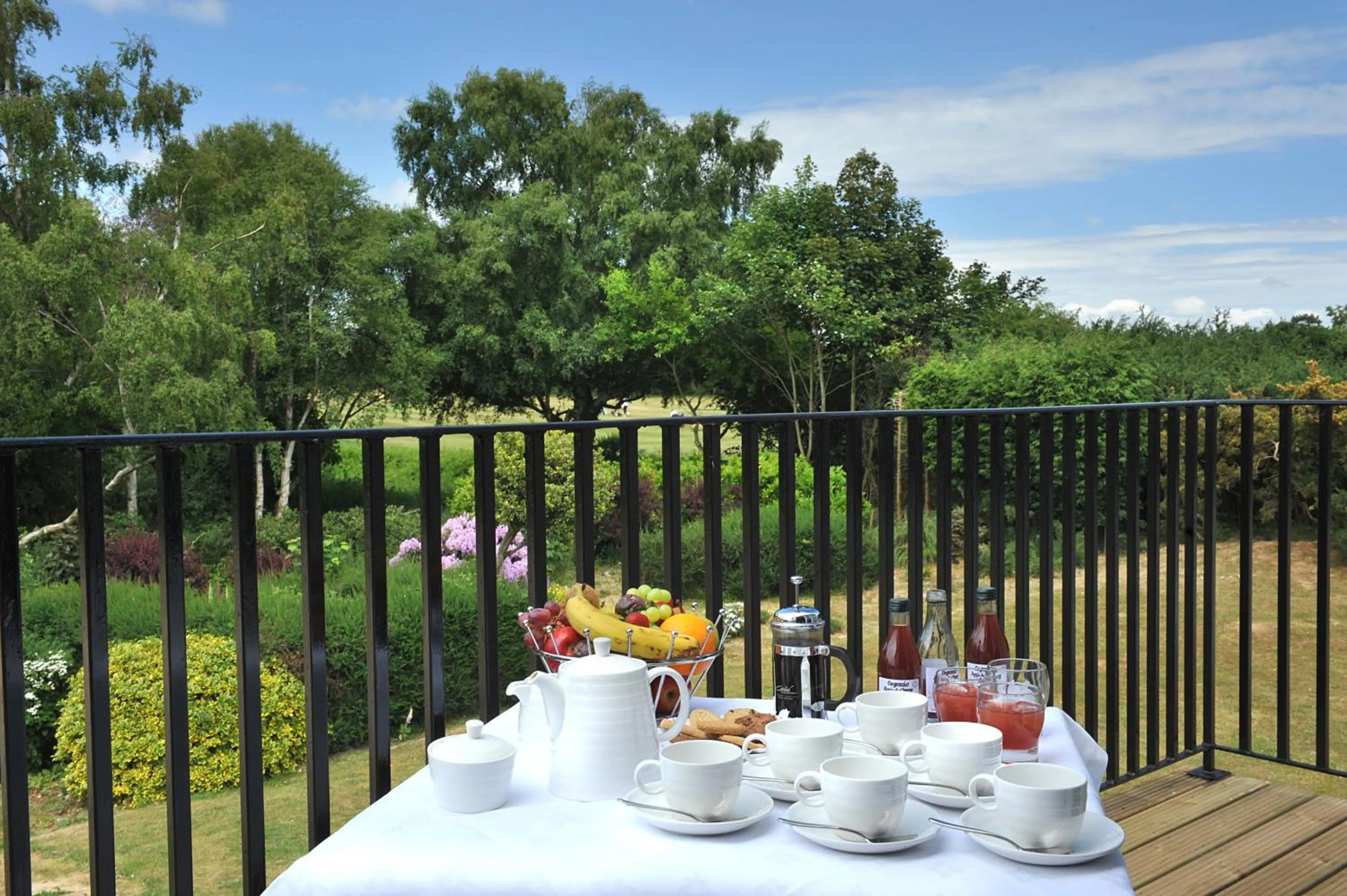 Balcony/Terrace in Thorpeness Golf Club and Hotel