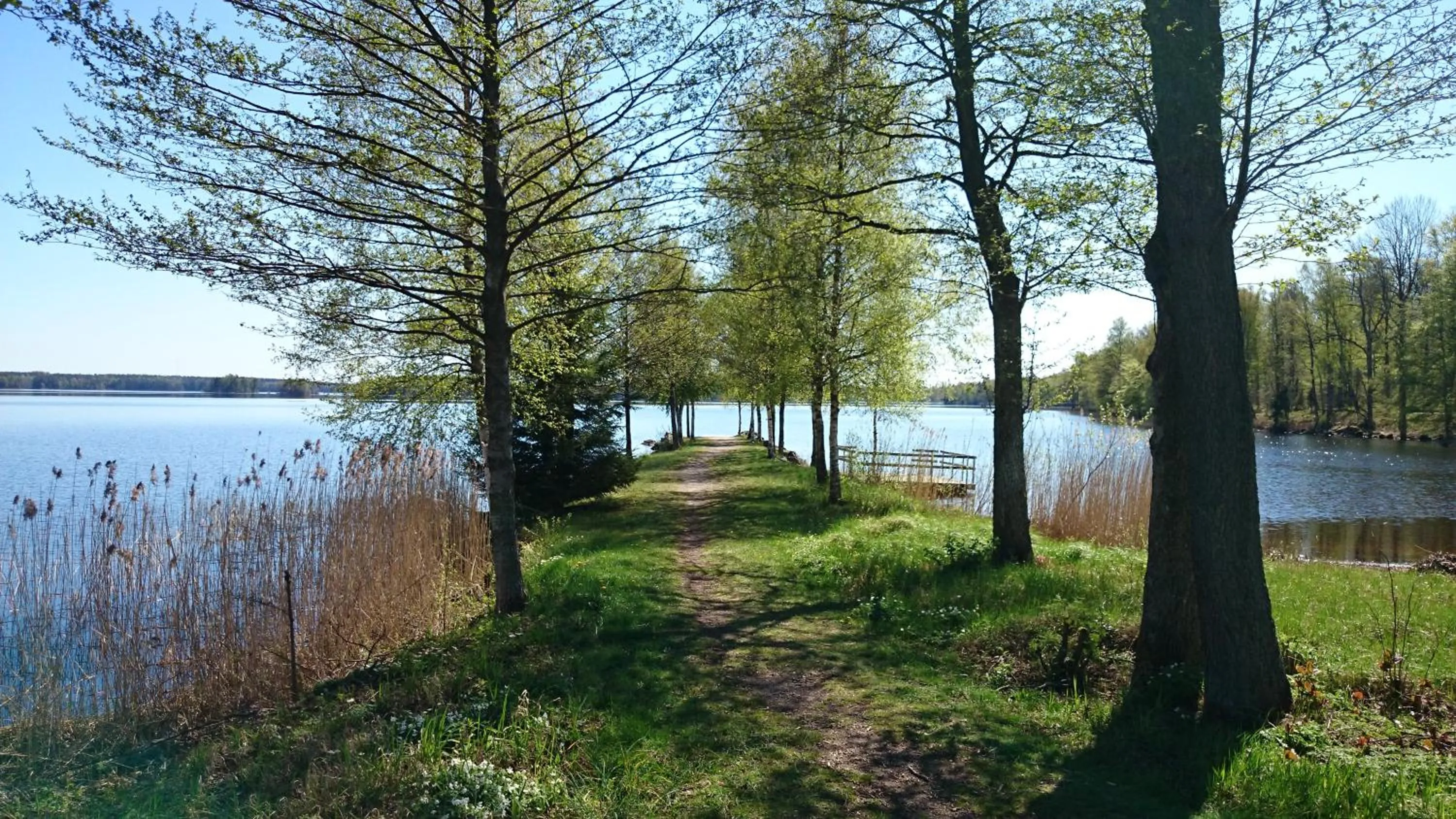 Spring in Tingsryd Resort