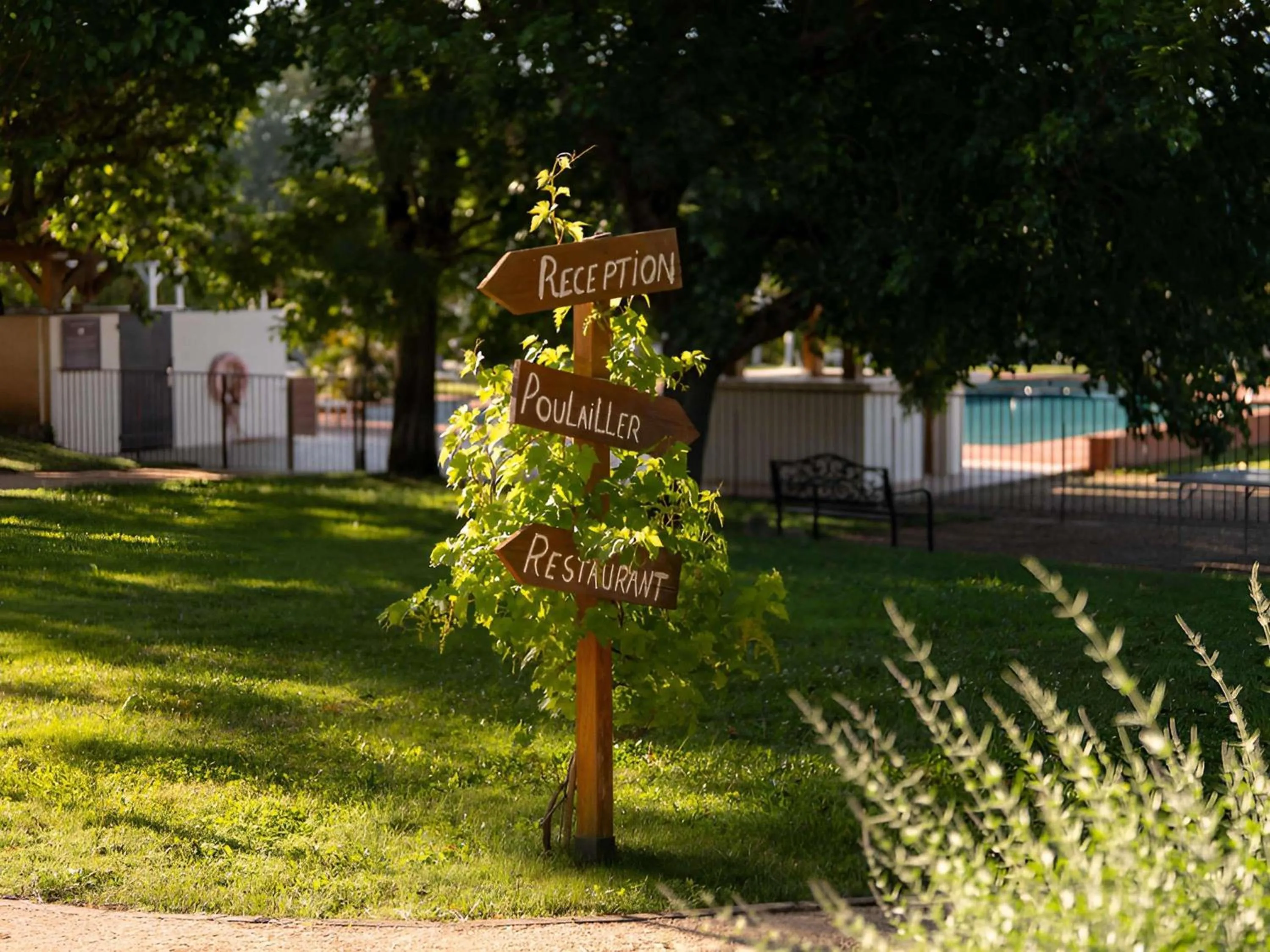 Pool view in Mercure Aix-En-Provence Sainte-Victoire