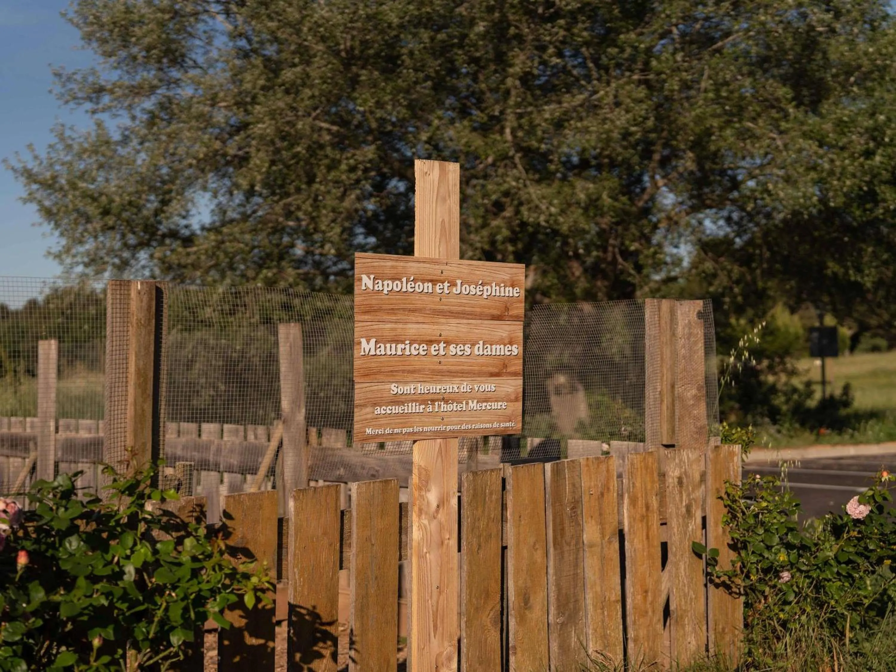 Other in Mercure Aix-En-Provence Sainte-Victoire