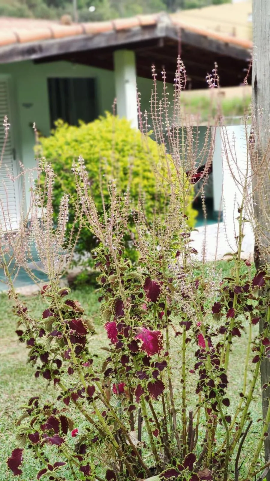 Pousada Recanto Verde Cunha