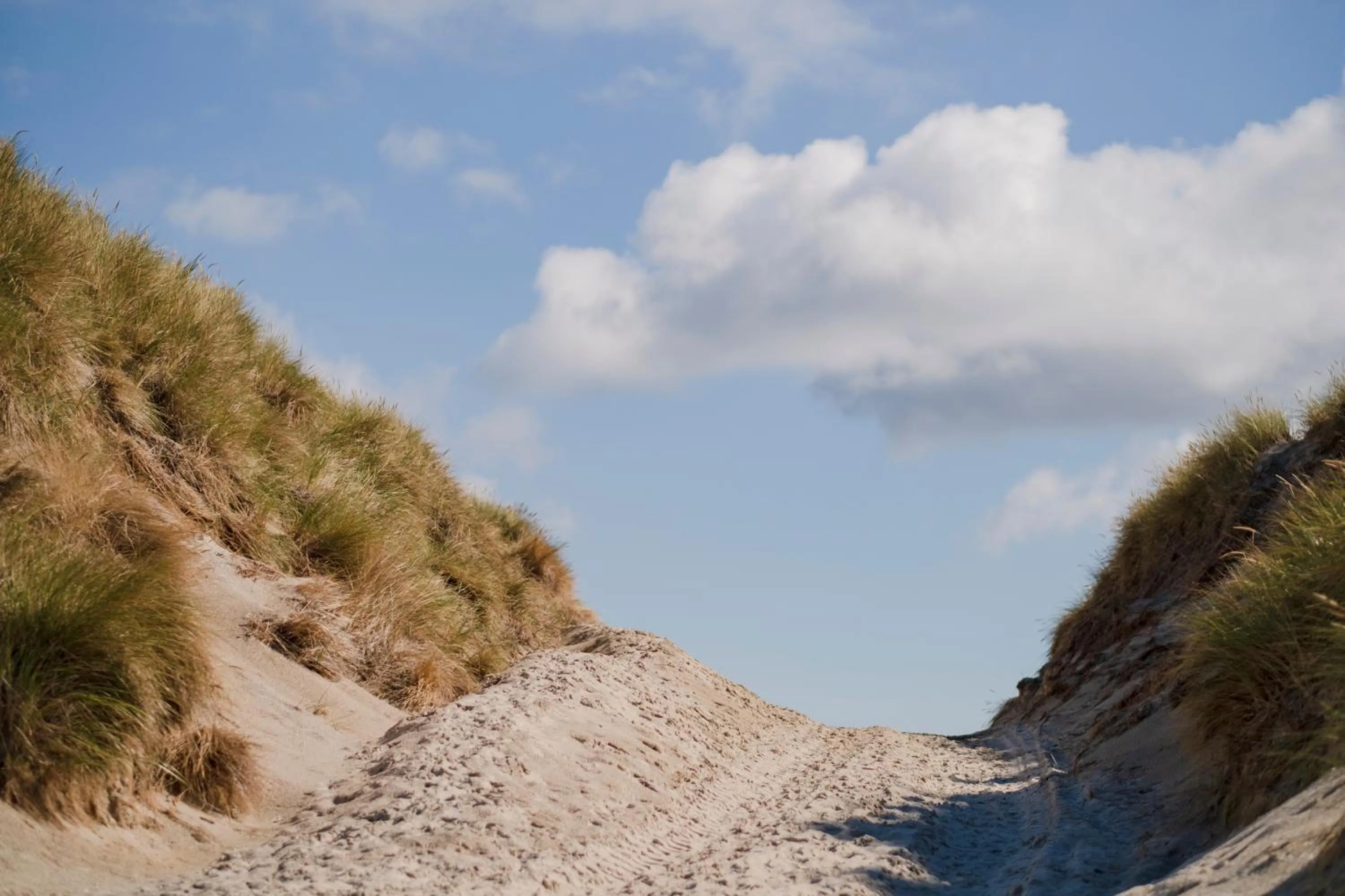 Natural landscape in Hotel Hüttmann