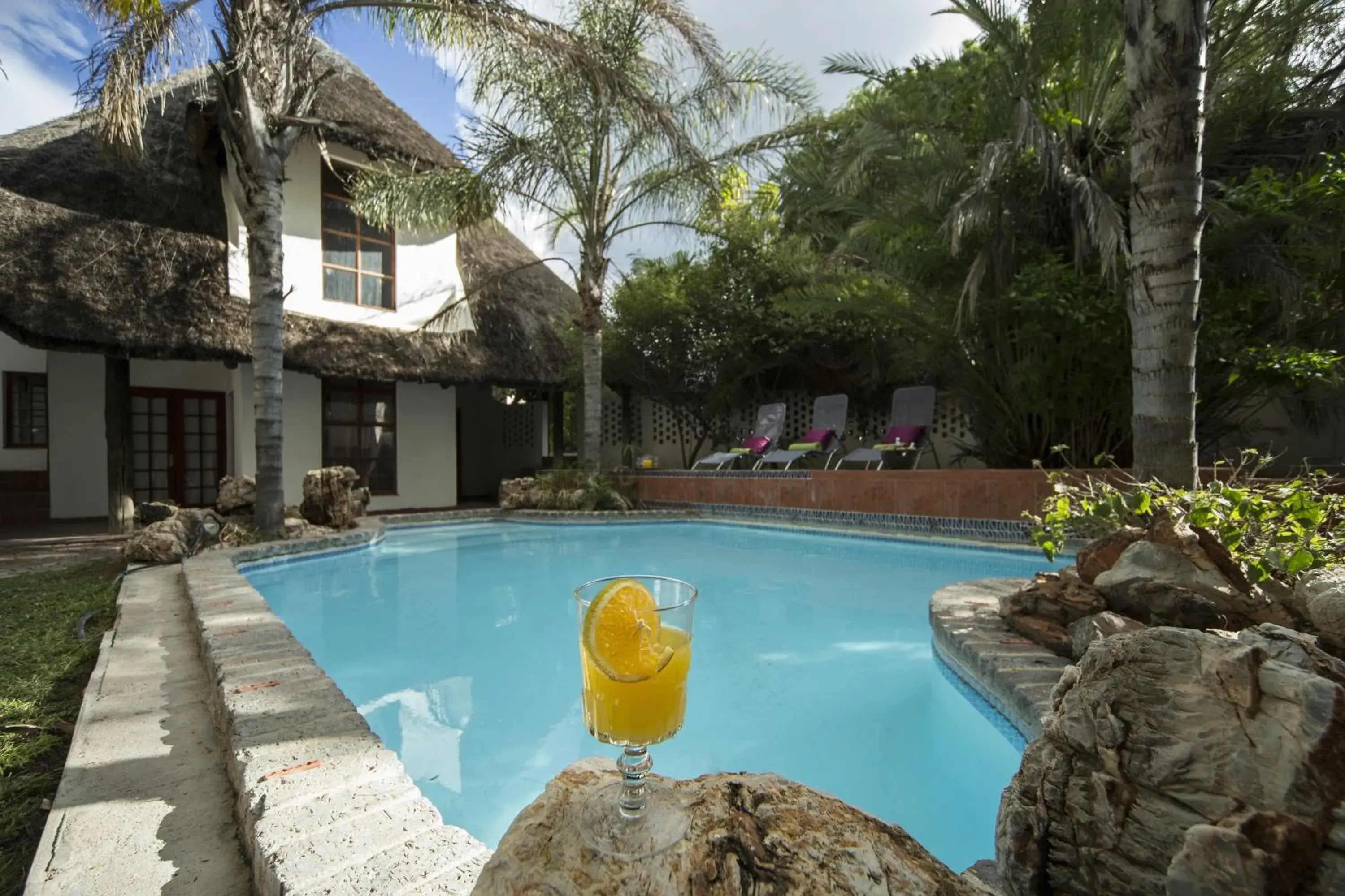 Out of Africa Guesthouse Out of Africa Guesthouse