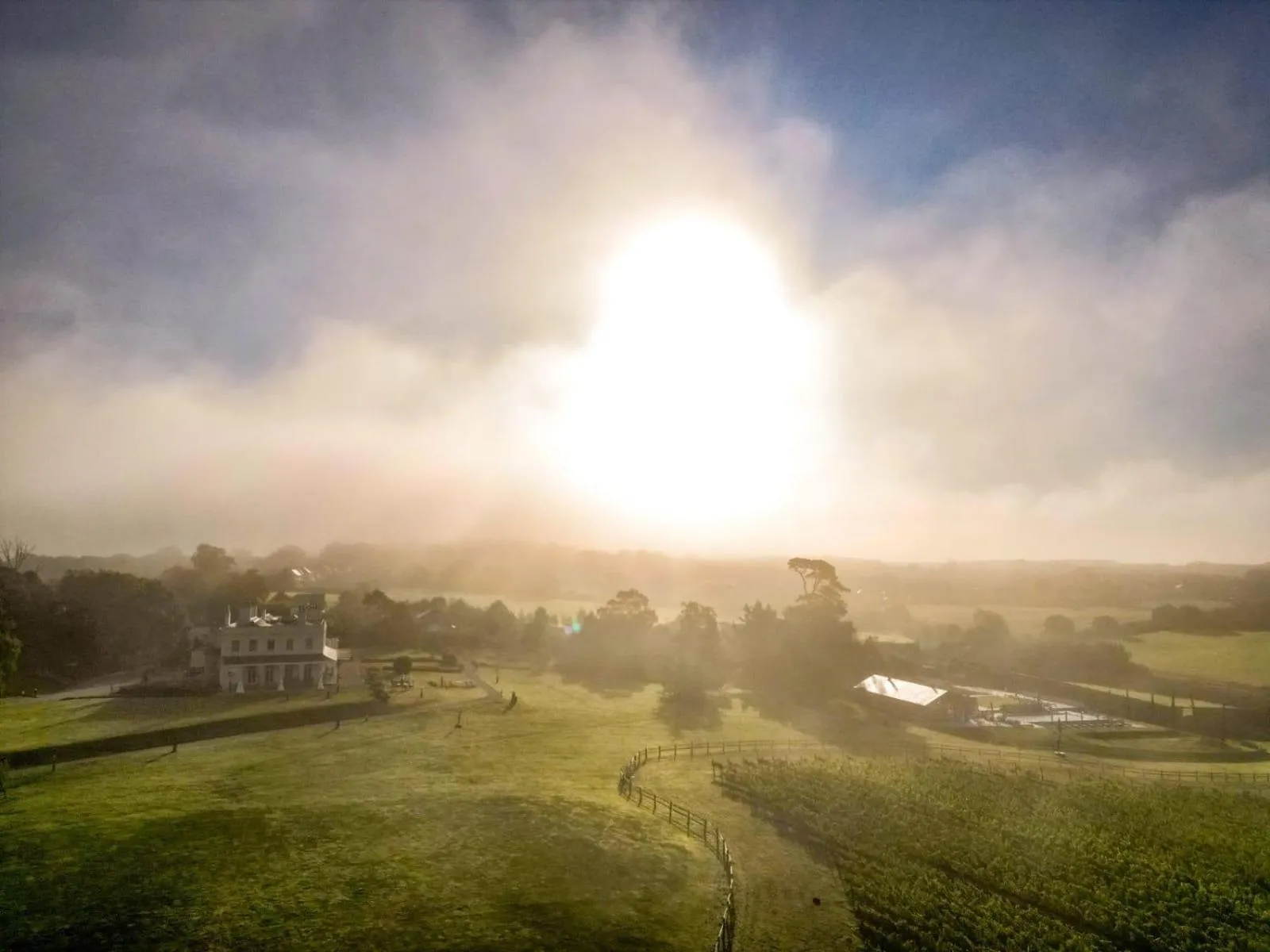 Natural landscape in Lympstone Manor Hotel Restaurant & Vineyard - Relais & Chateaux