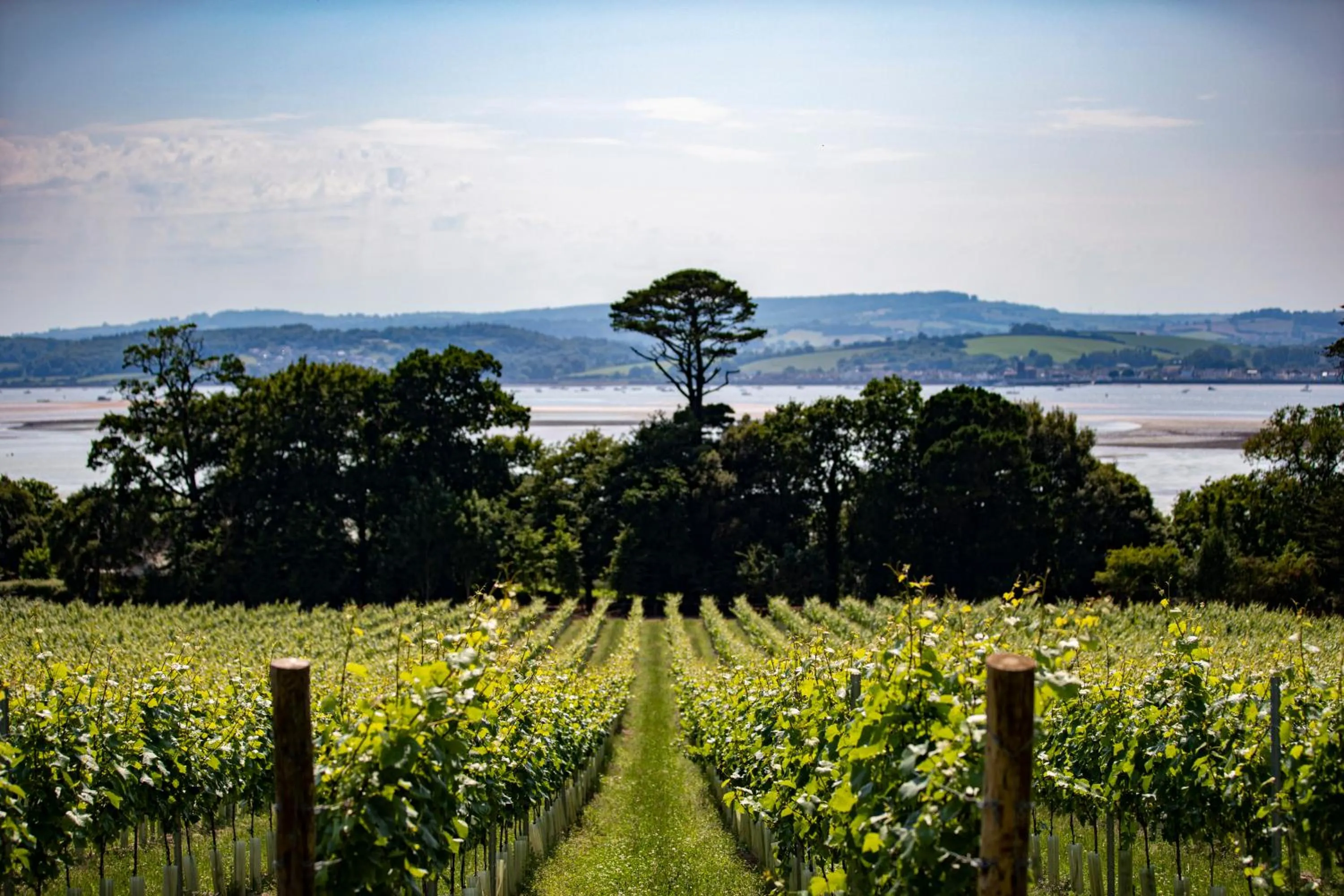 Natural landscape in Lympstone Manor Hotel Restaurant & Vineyard - Relais & Chateaux