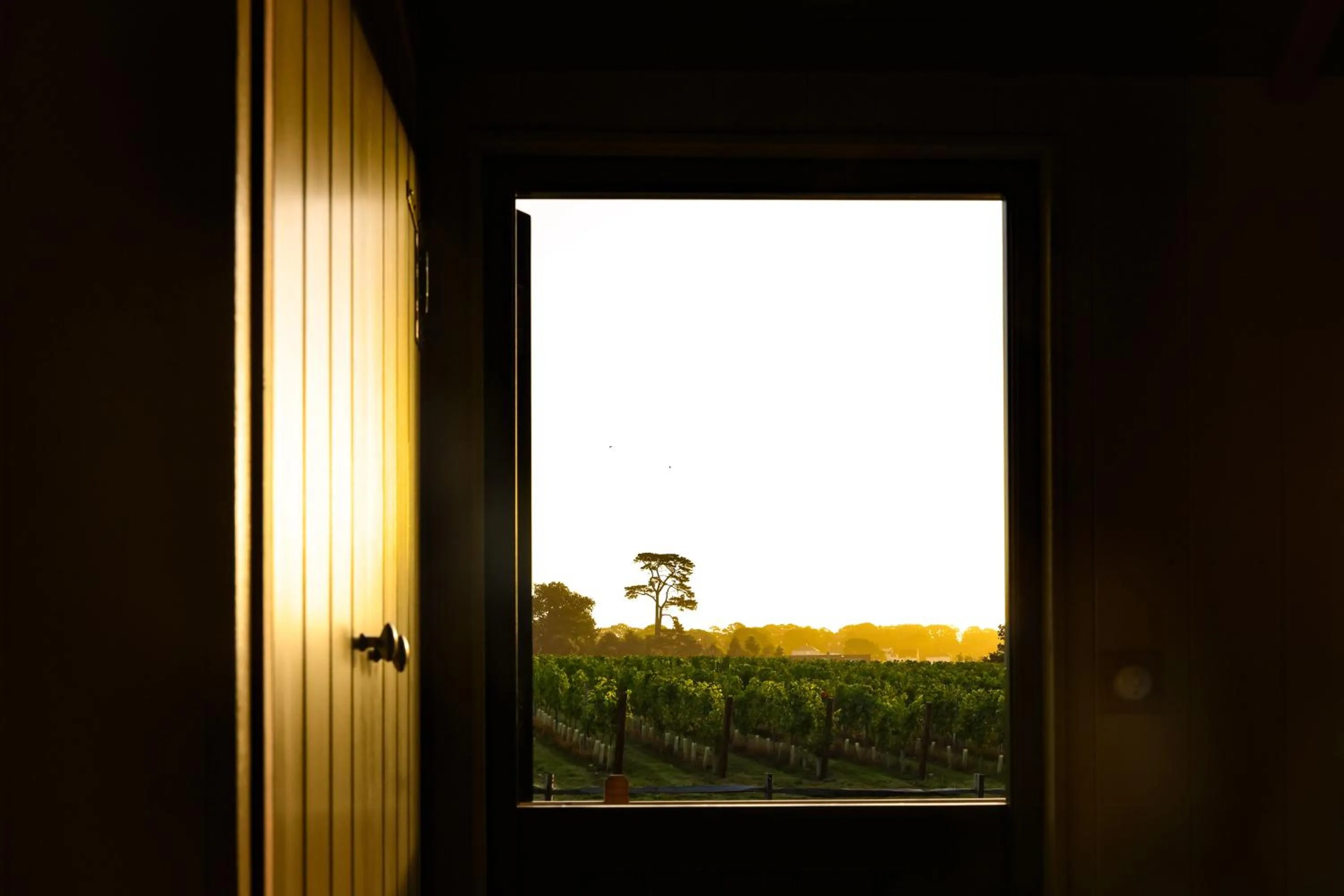 Garden in Lympstone Manor Hotel Restaurant & Vineyard - Relais & Chateaux