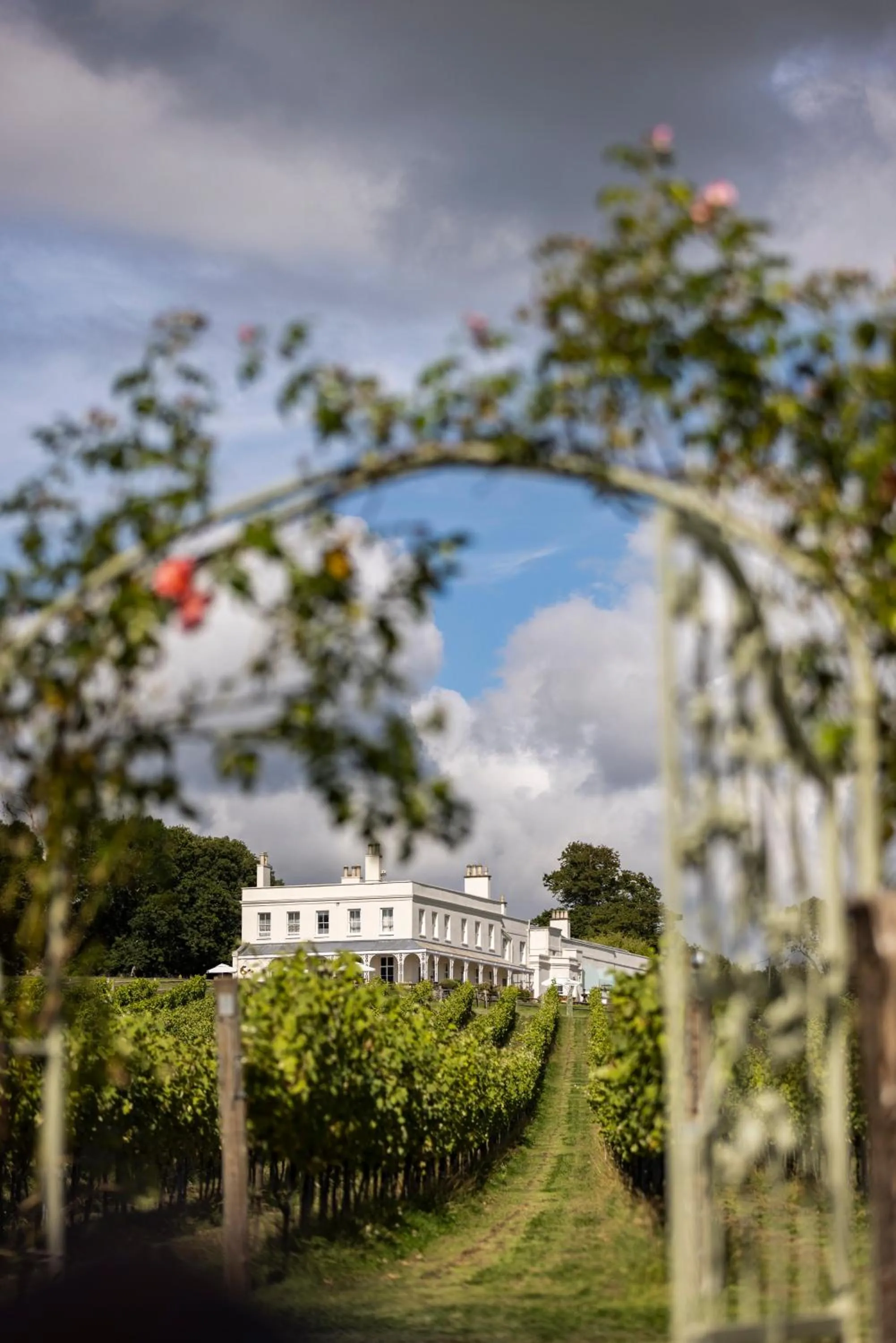 Natural landscape in Lympstone Manor Hotel Restaurant & Vineyard - Relais & Chateaux
