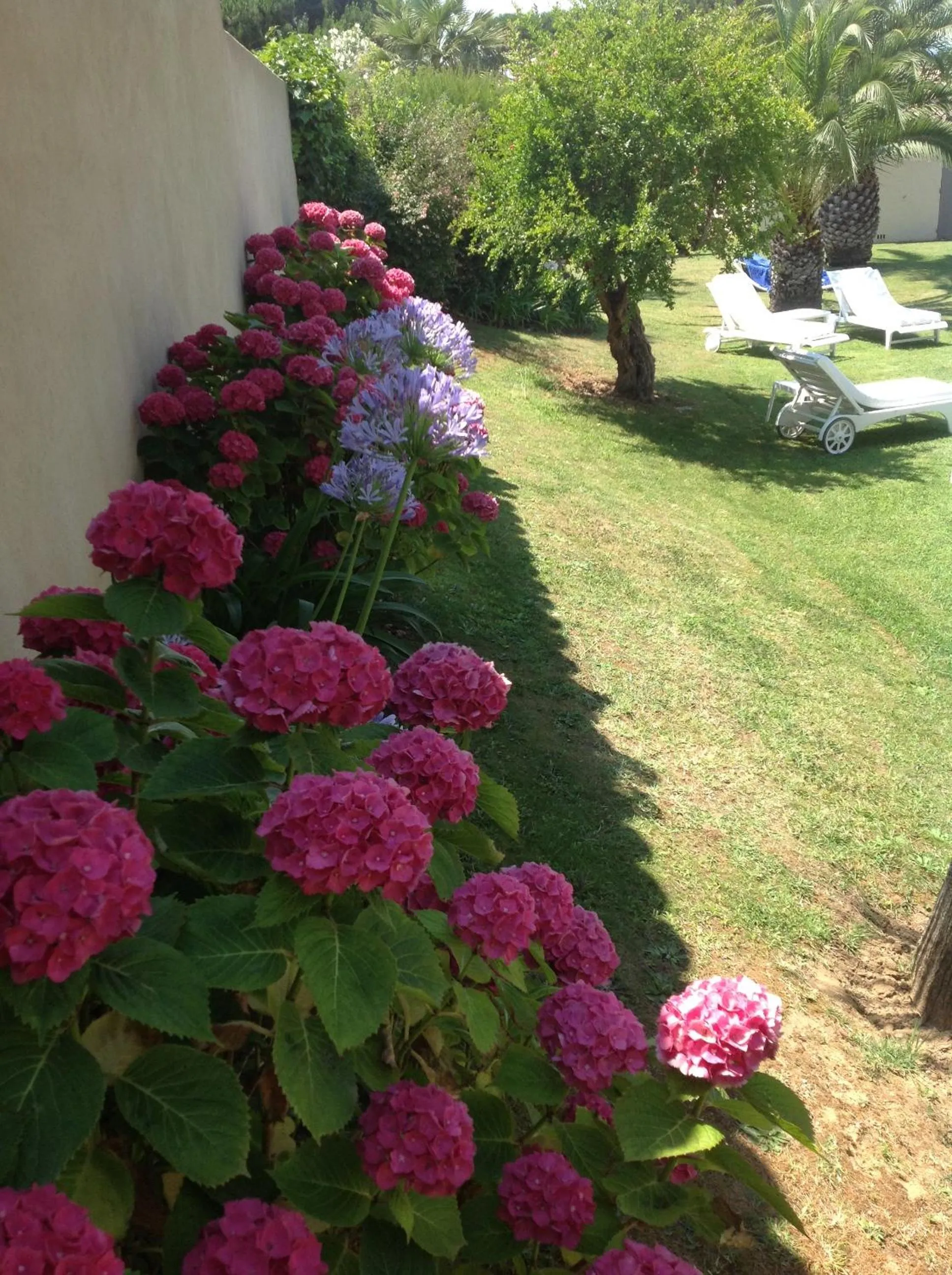 Garden view in Villa Made