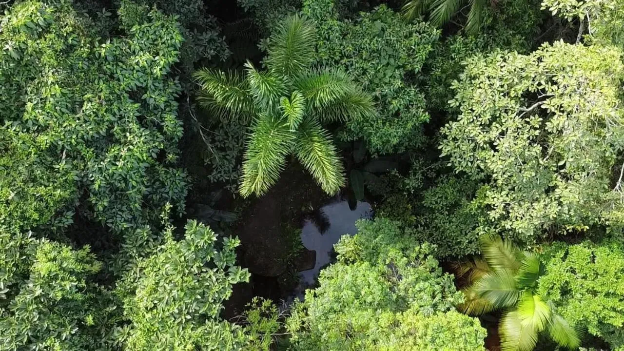 Natural landscape in Espaço Indio Tupi