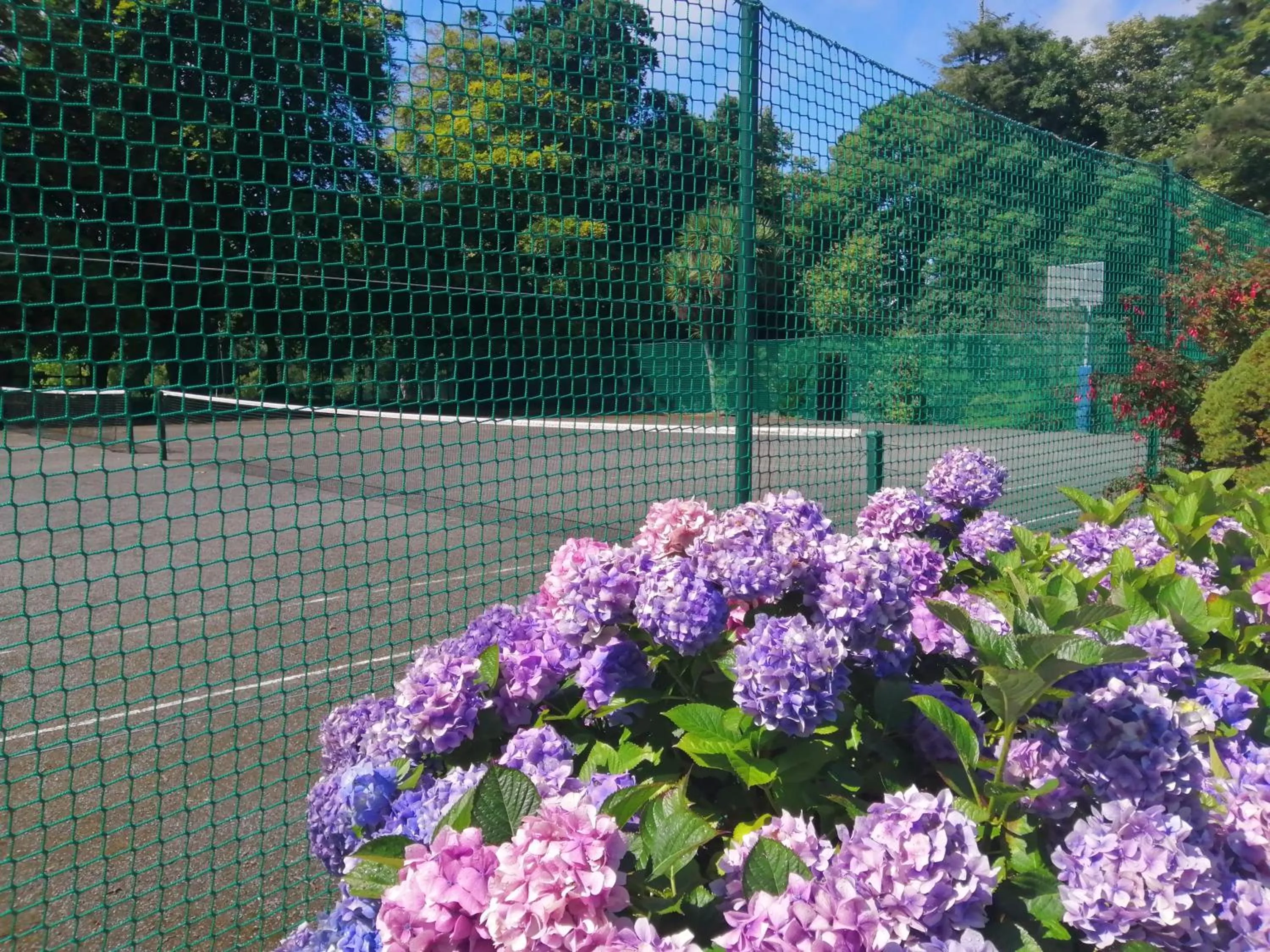 Activities in Waterford Castle Hotel Lodges