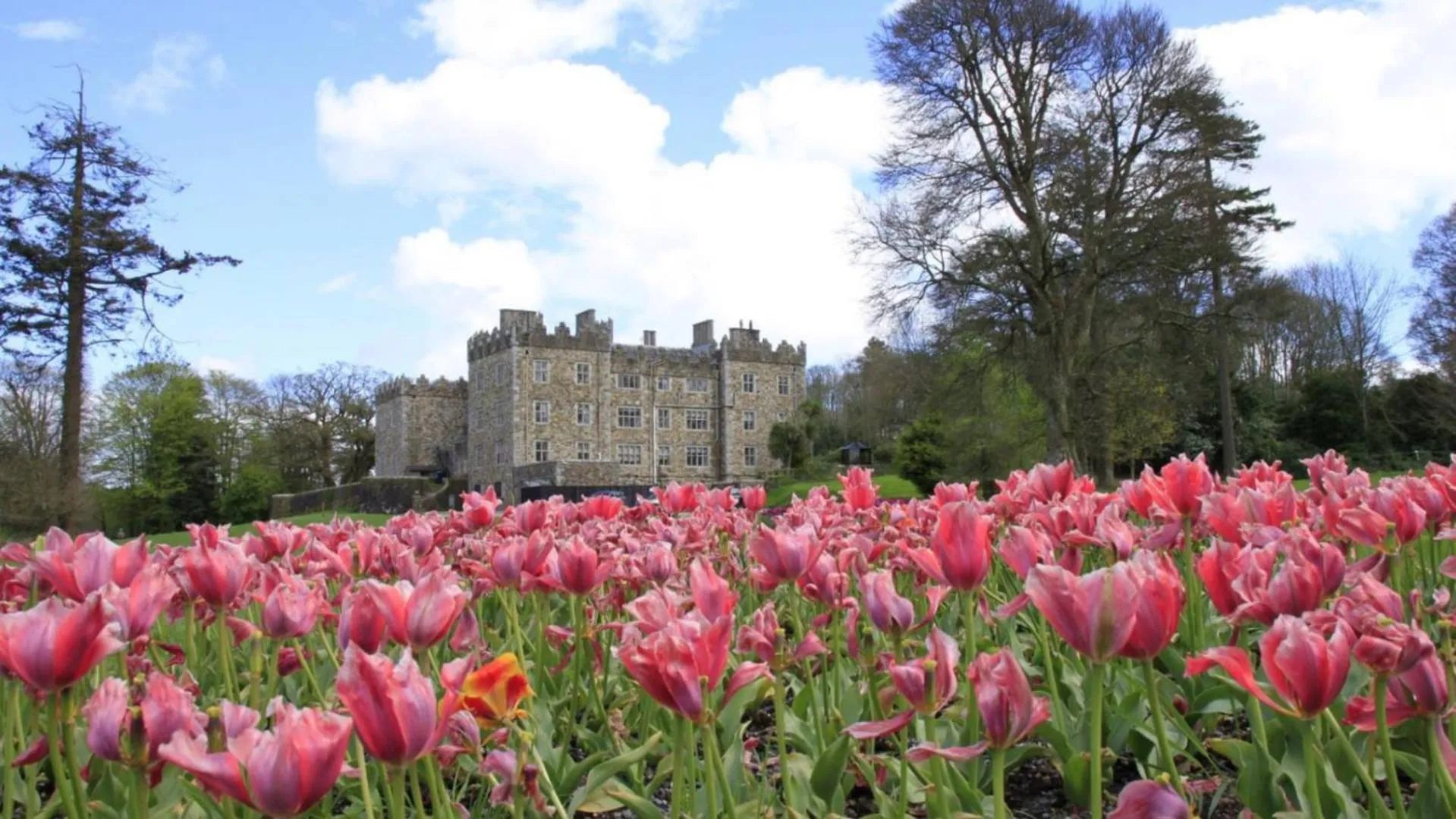 Garden in Waterford Castle Hotel Lodges
