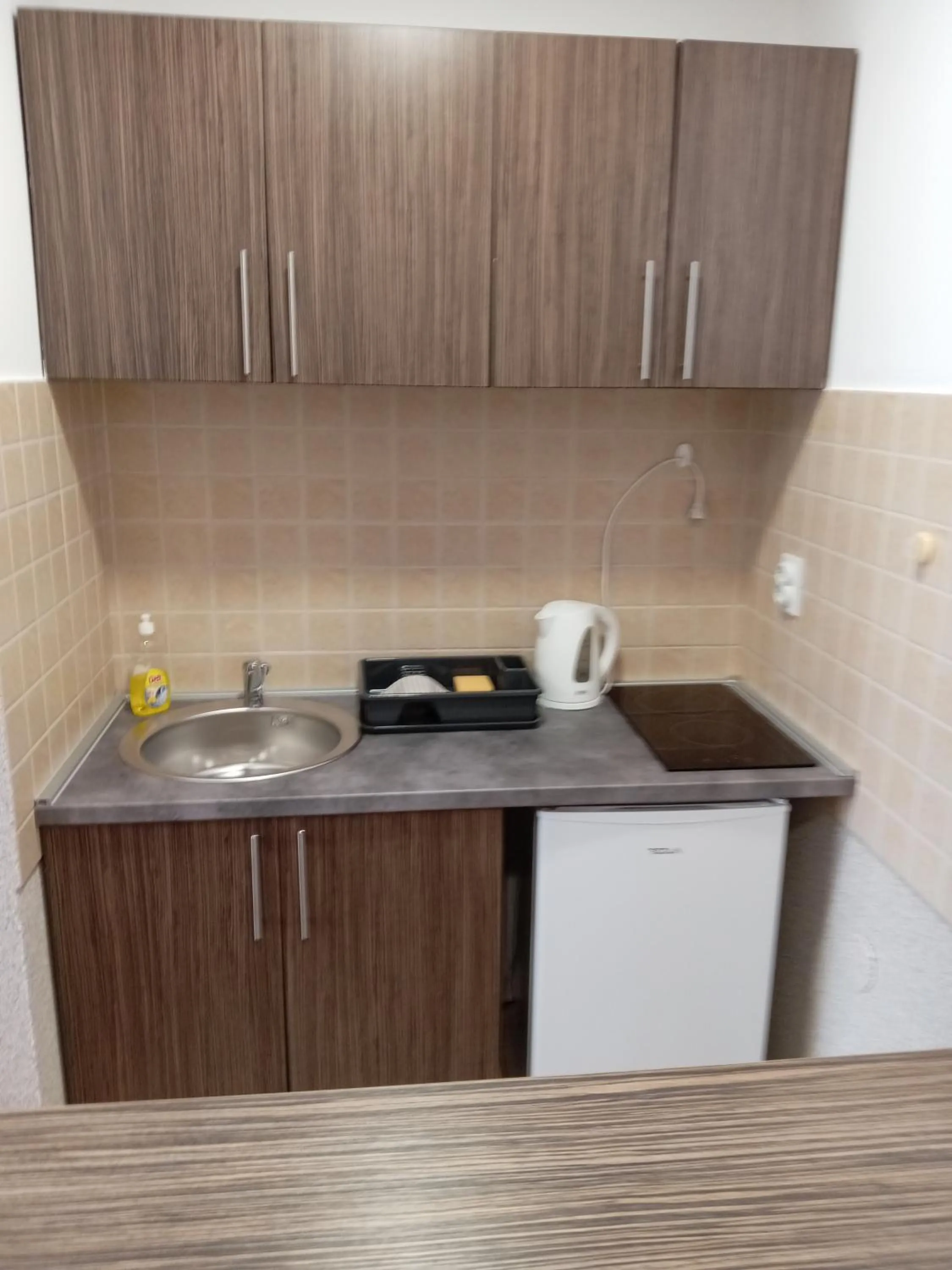 Apartment Atina