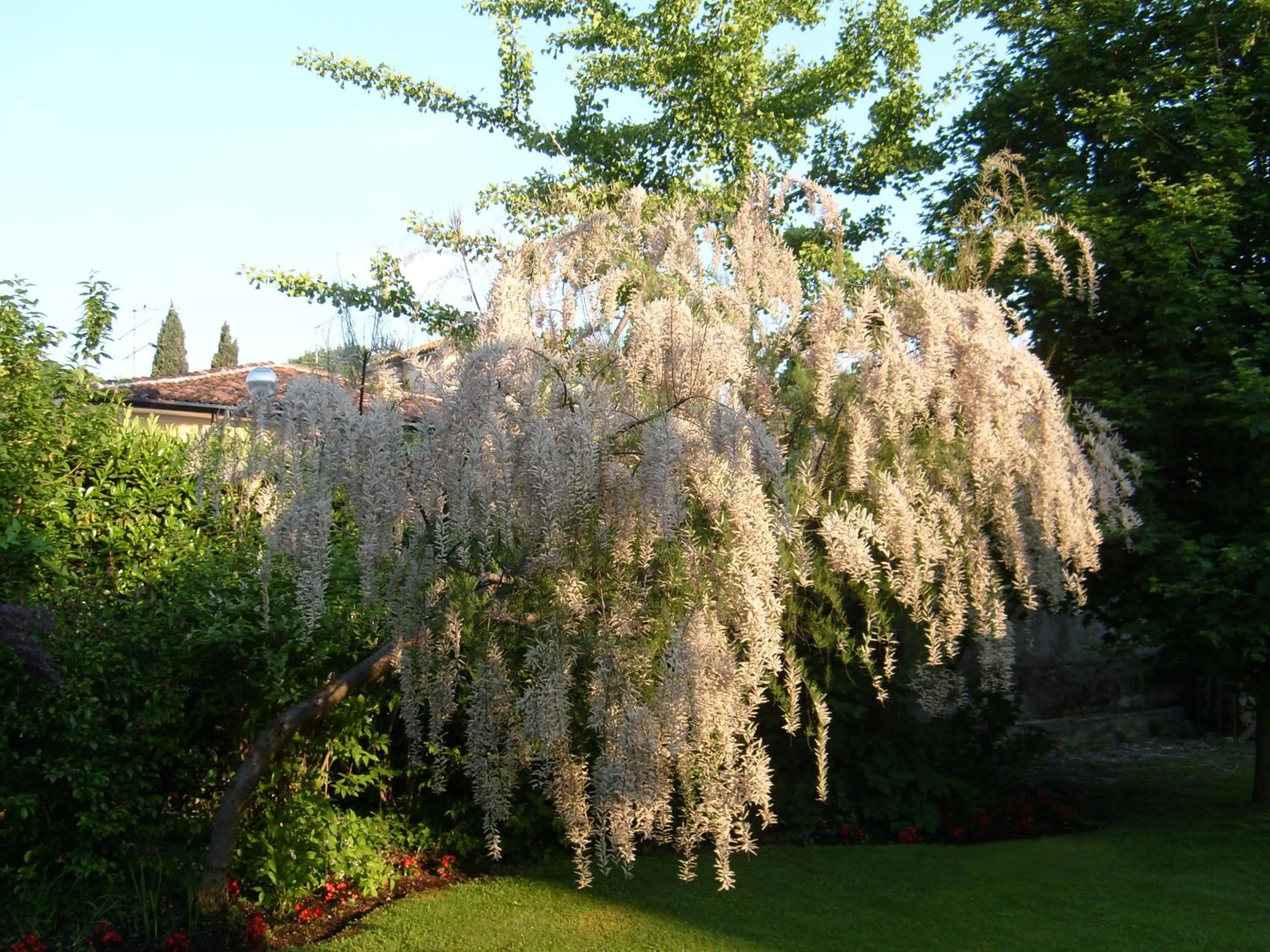Spring in B&B La Tamerice