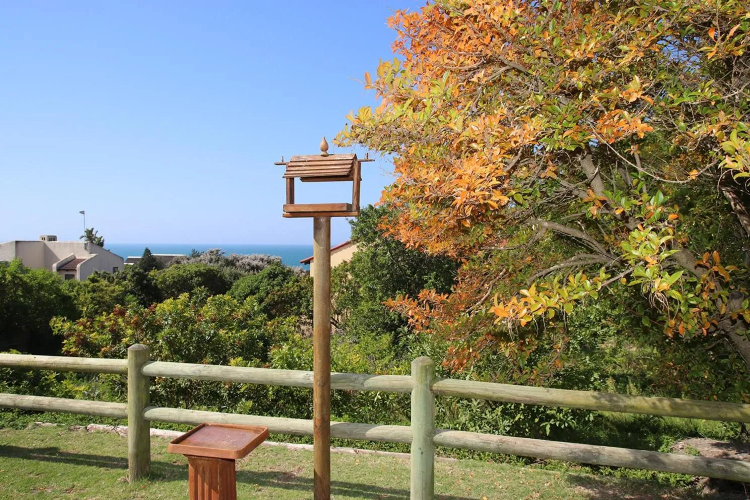 Coral Tree SelfCatering