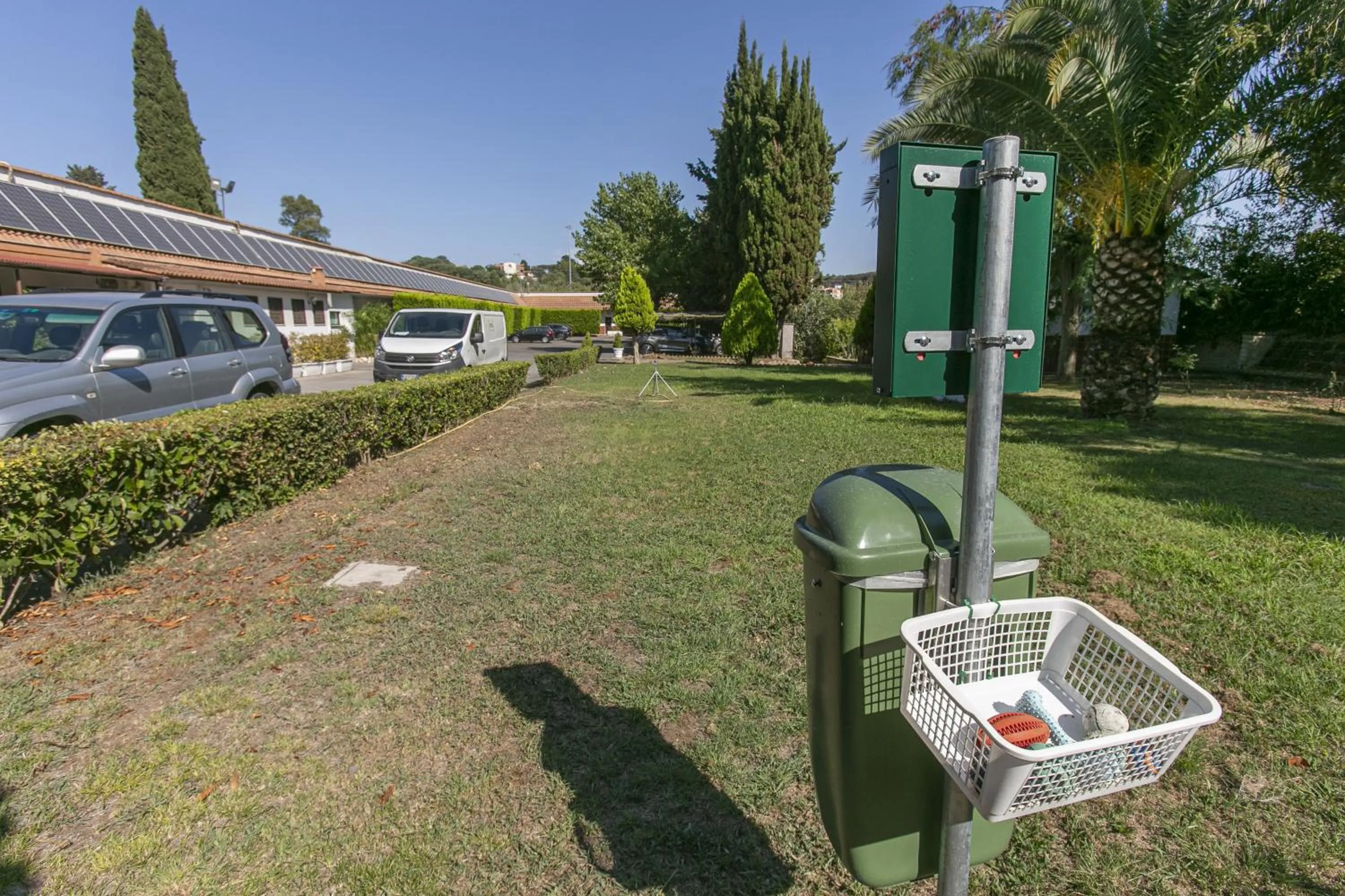 Animals in Hotel Boomerang