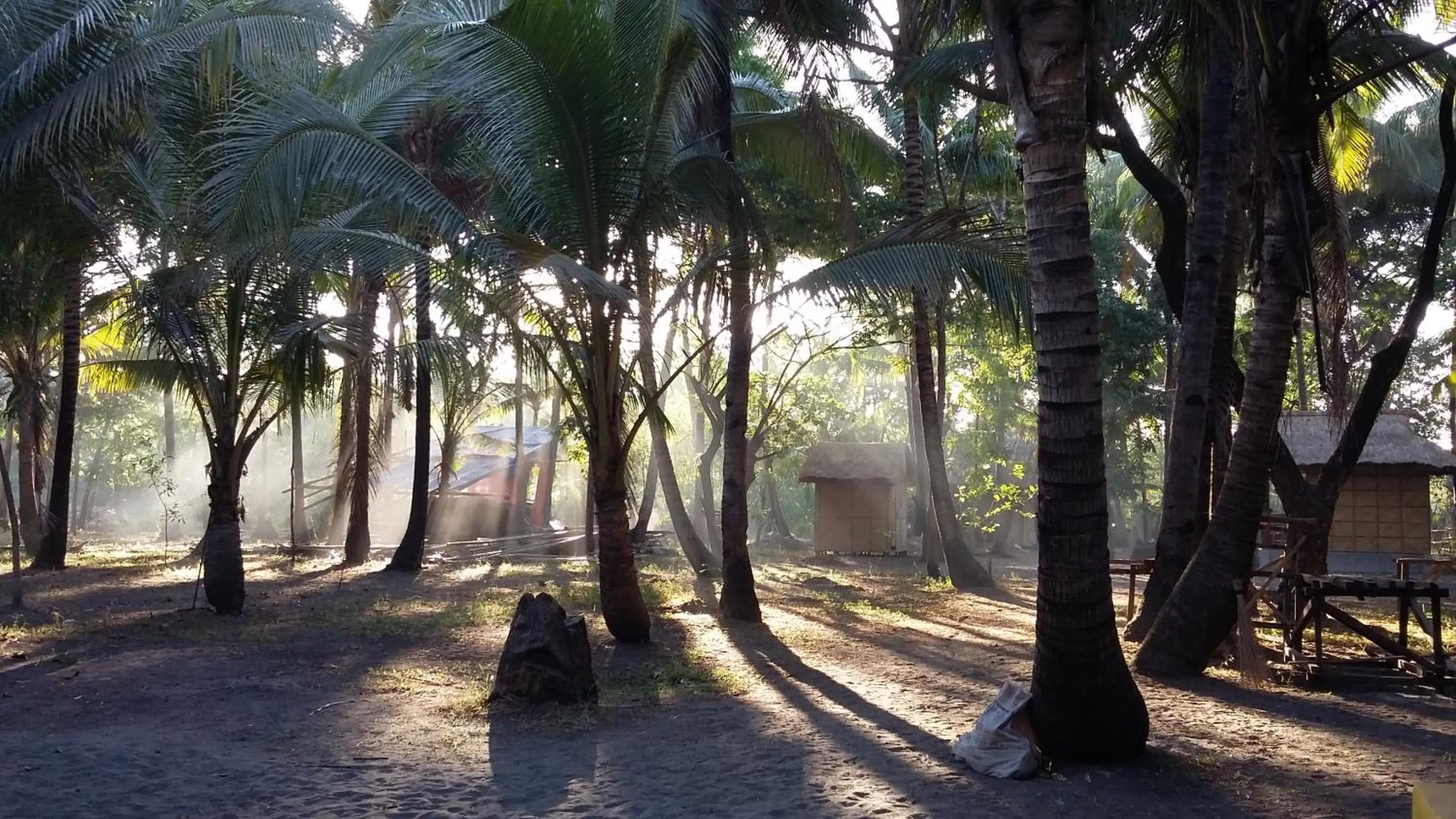 Garden view in Sablayan Paraiso Beach Resort