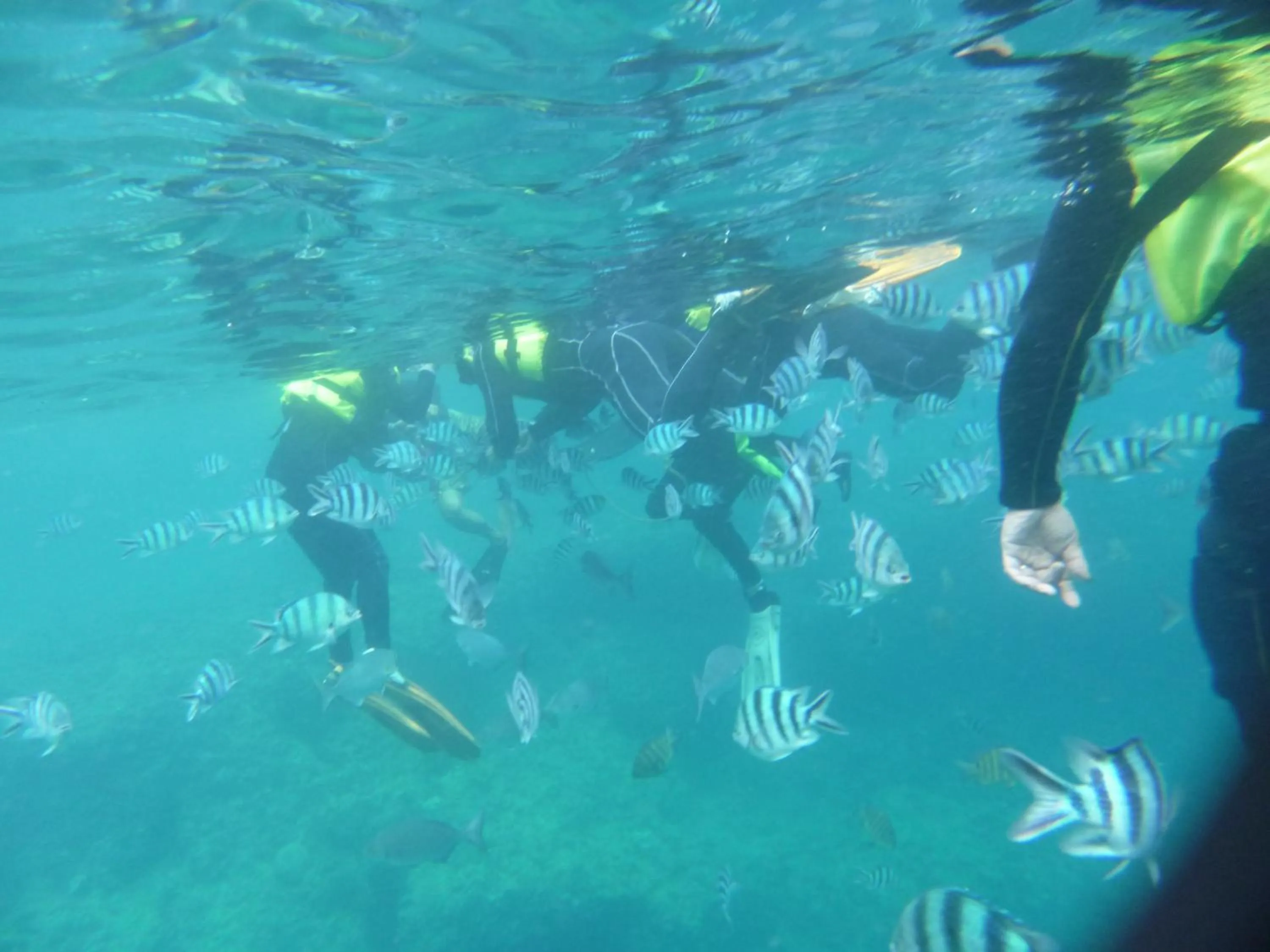 Seasons in Hotel Sha La La