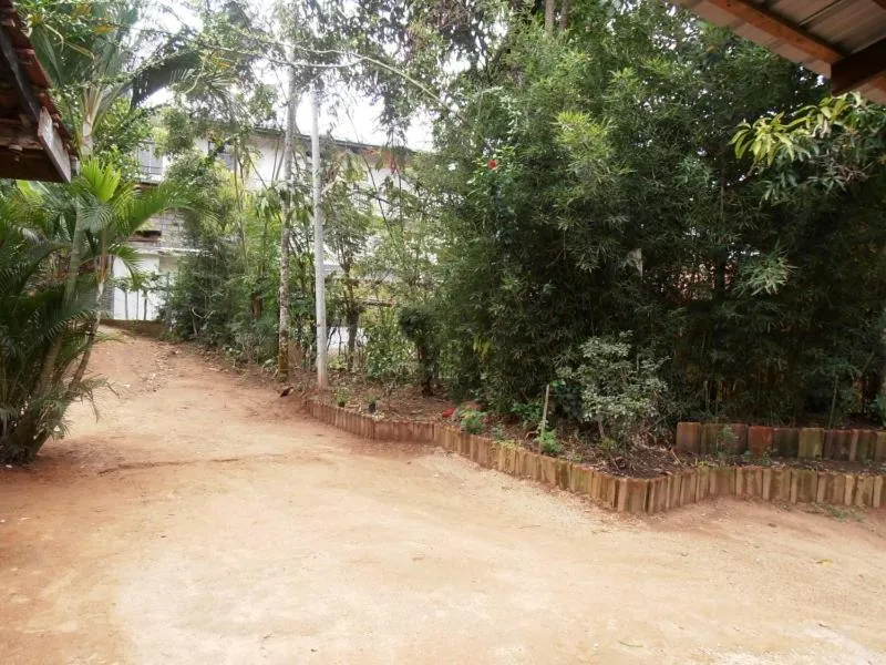 Garden view in Little Cottage