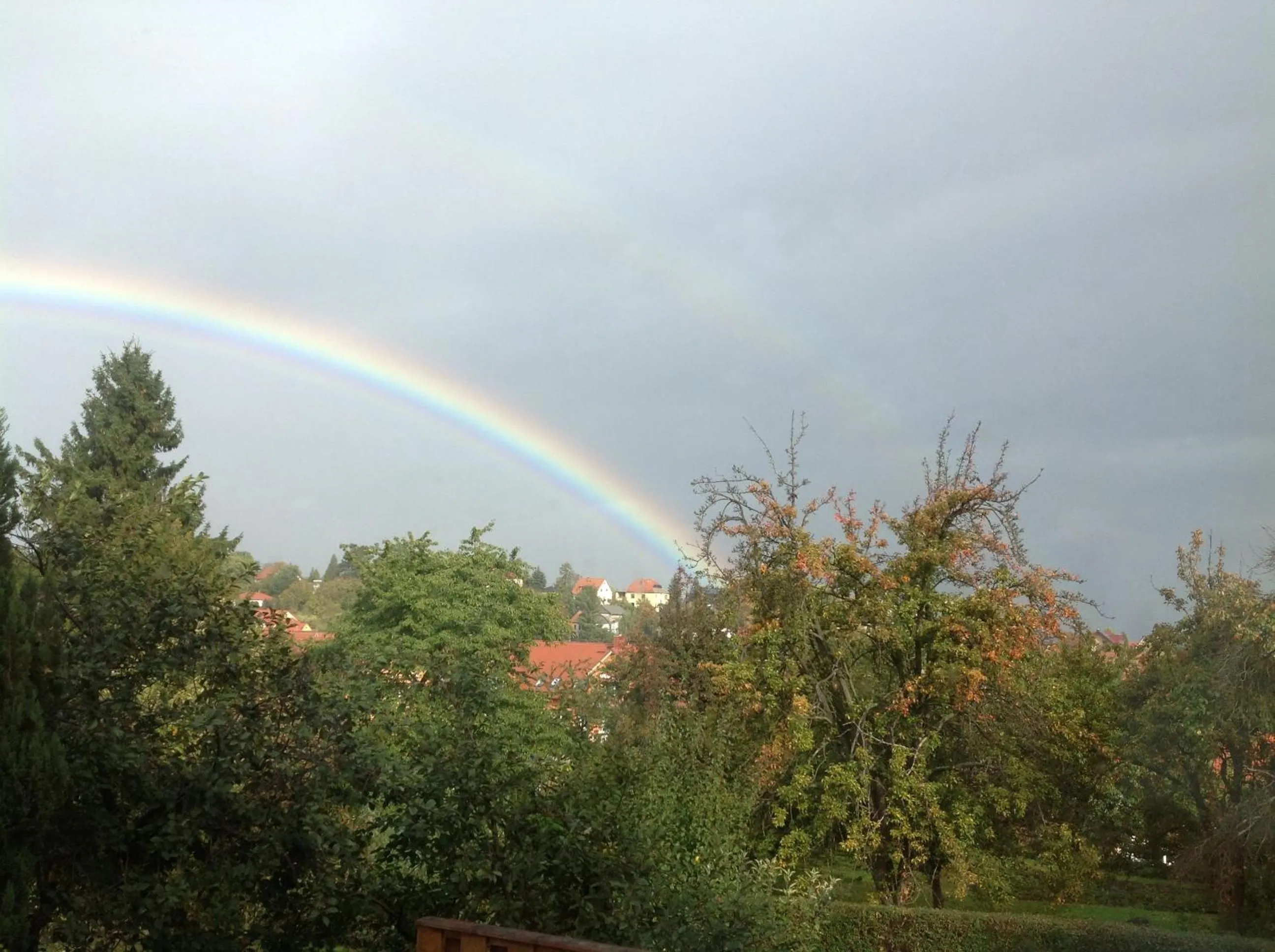 Natural landscape in Hotel Am Kurpark