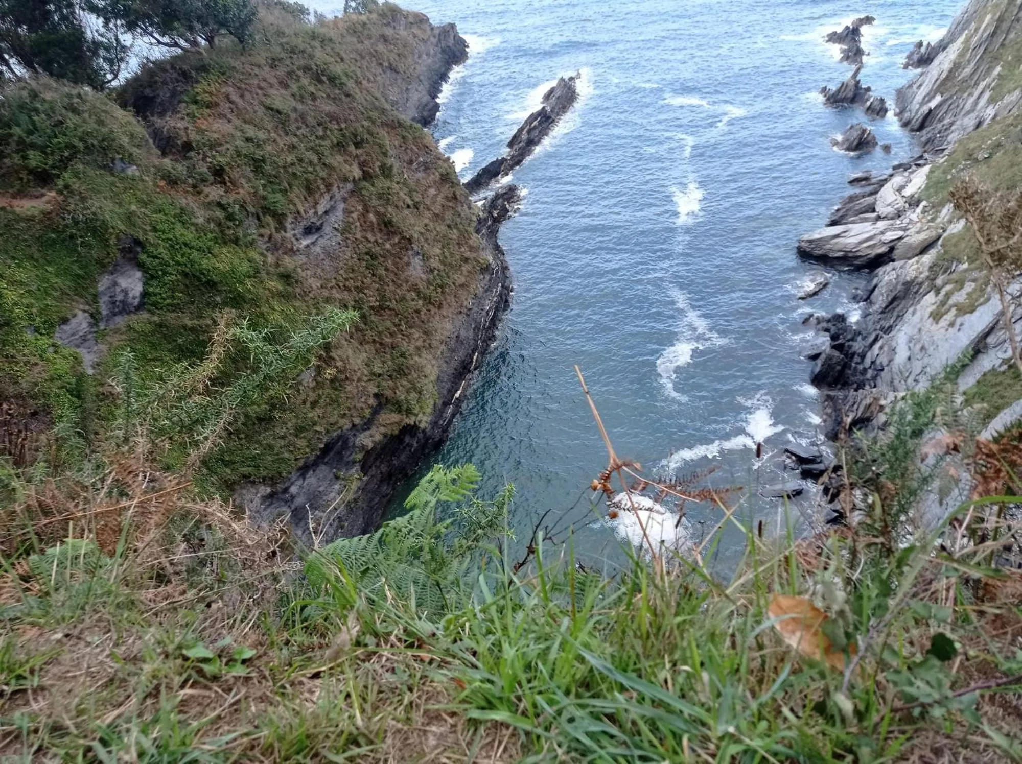 Area and facilities in Duerming Sea View Viveiro