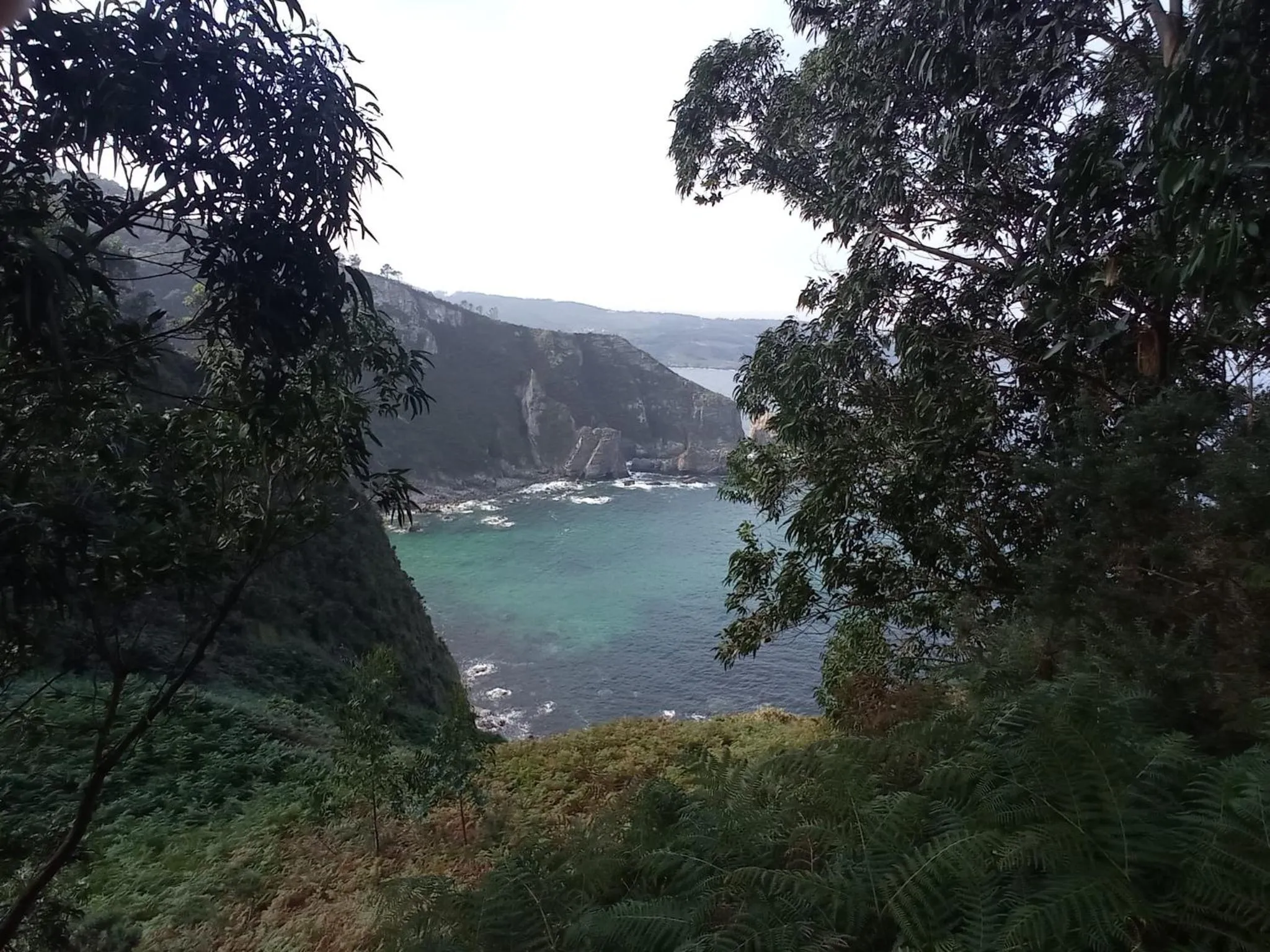 Area and facilities in Duerming Sea View Viveiro