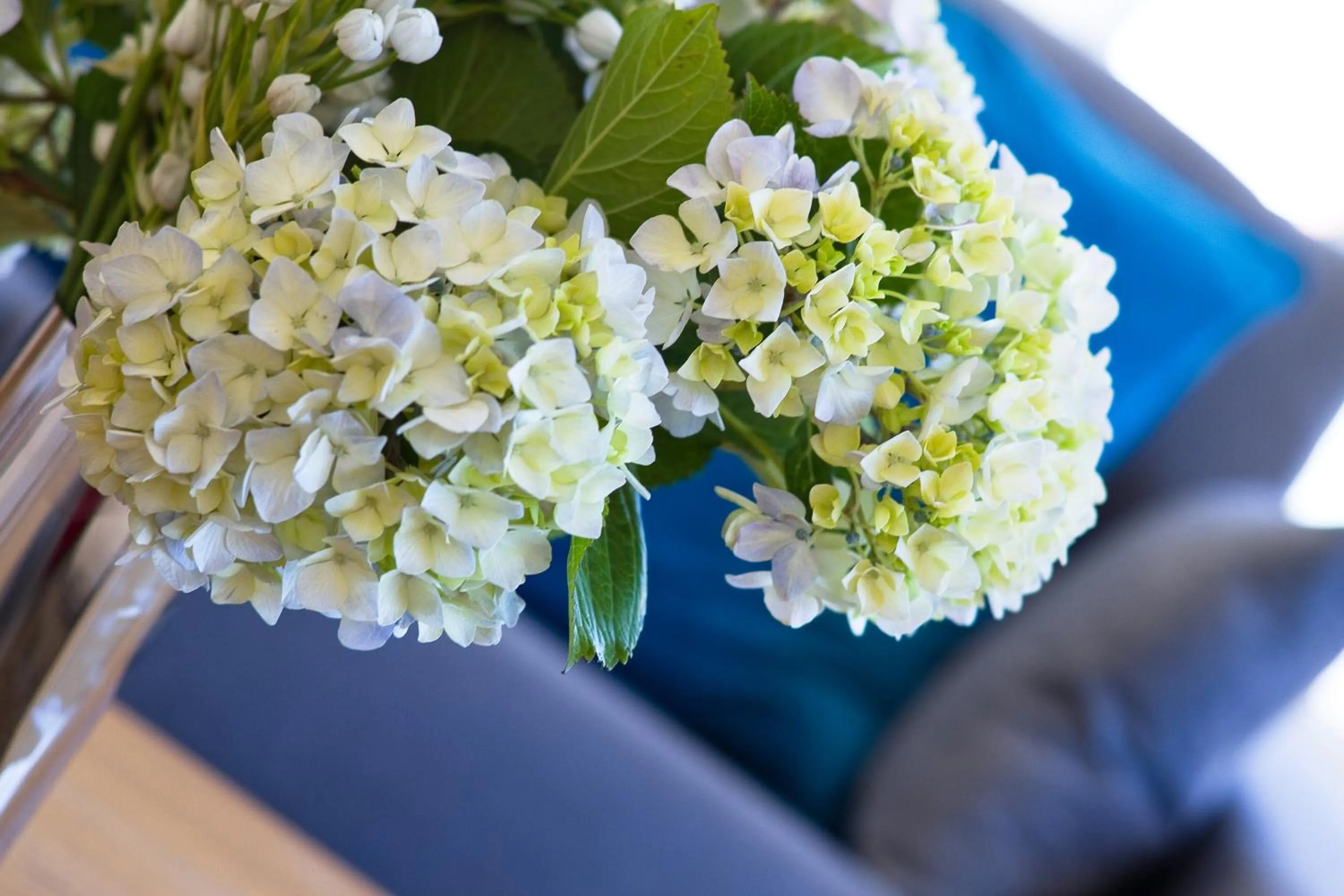 Decorative detail in Duerming Sea View Viveiro