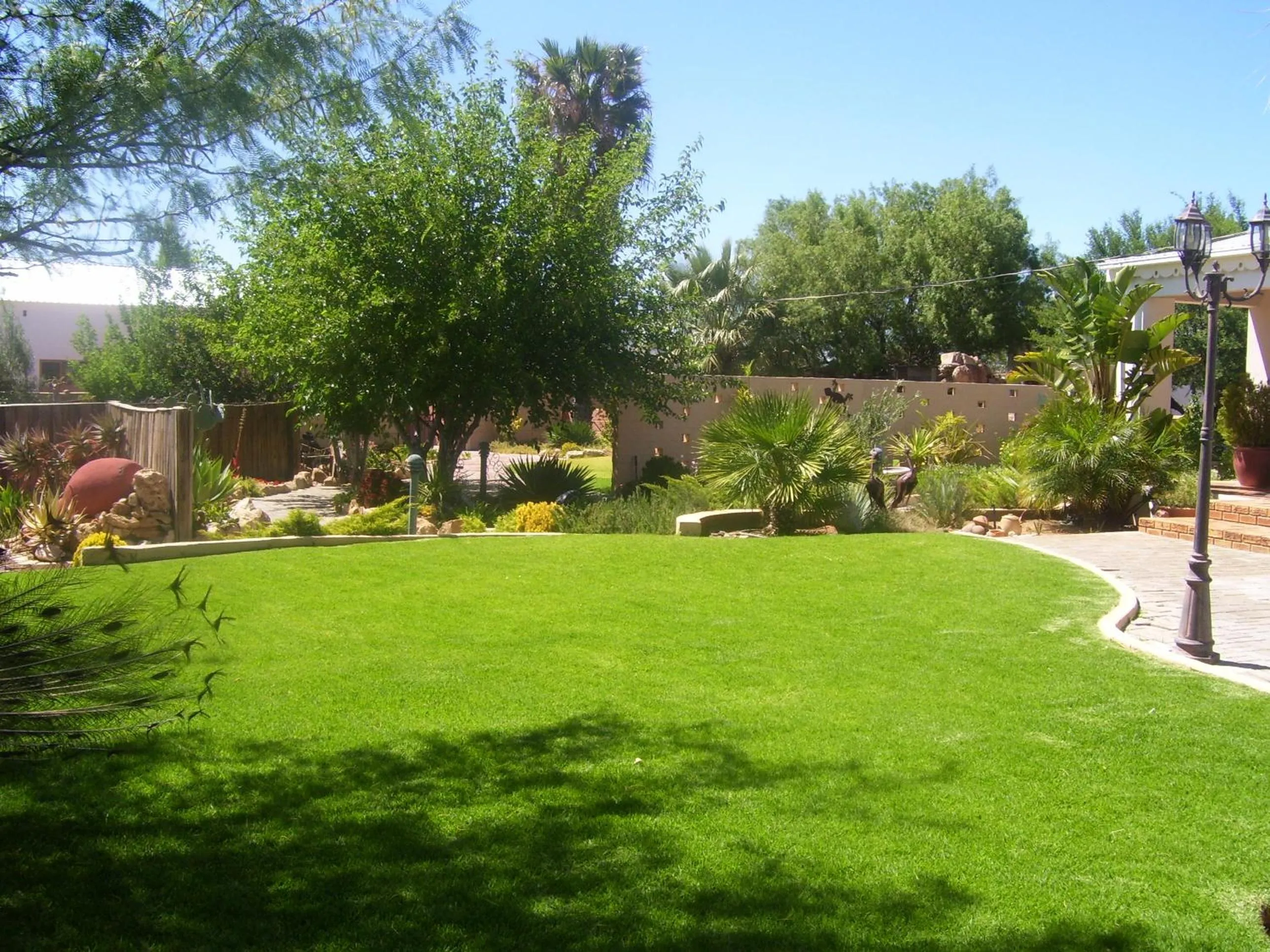 Garden view in Daisy Country Lodge