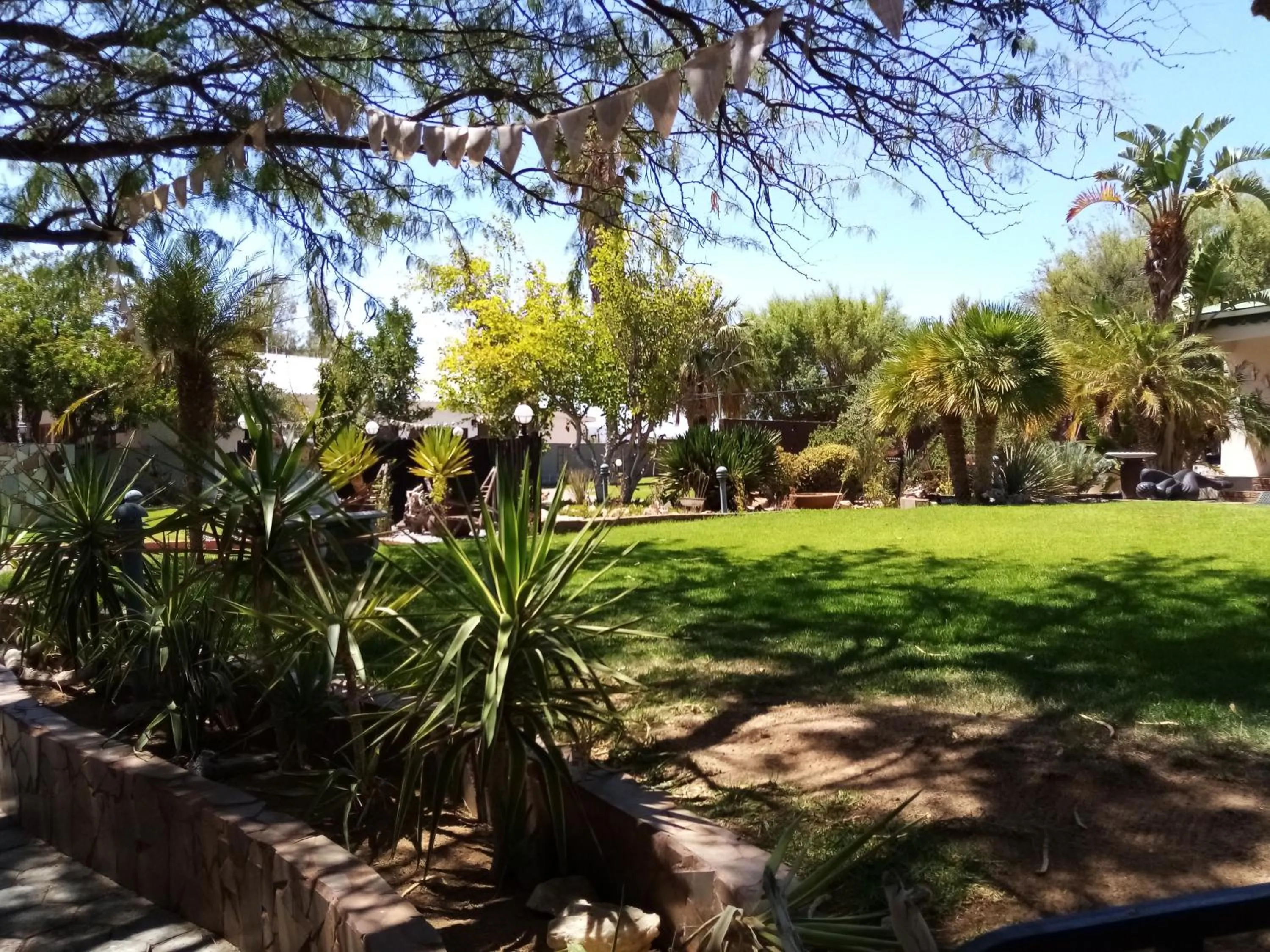 Garden view in Daisy Country Lodge