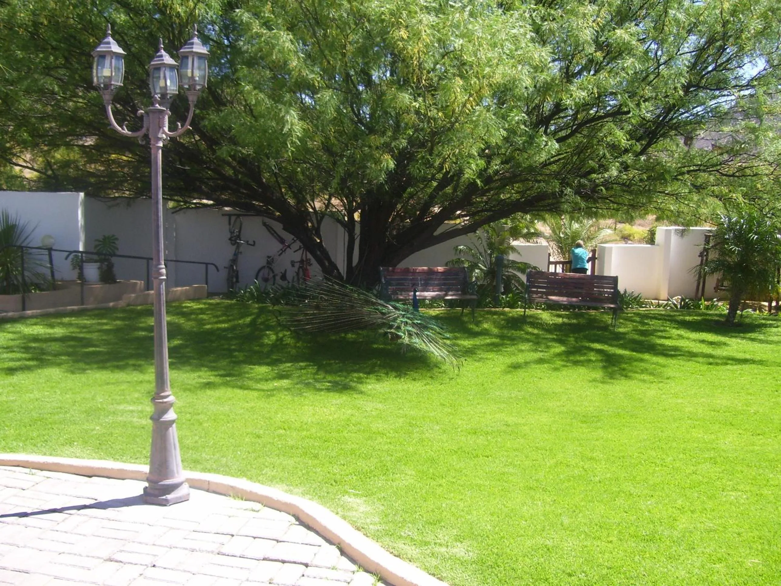 Garden in Daisy Country Lodge