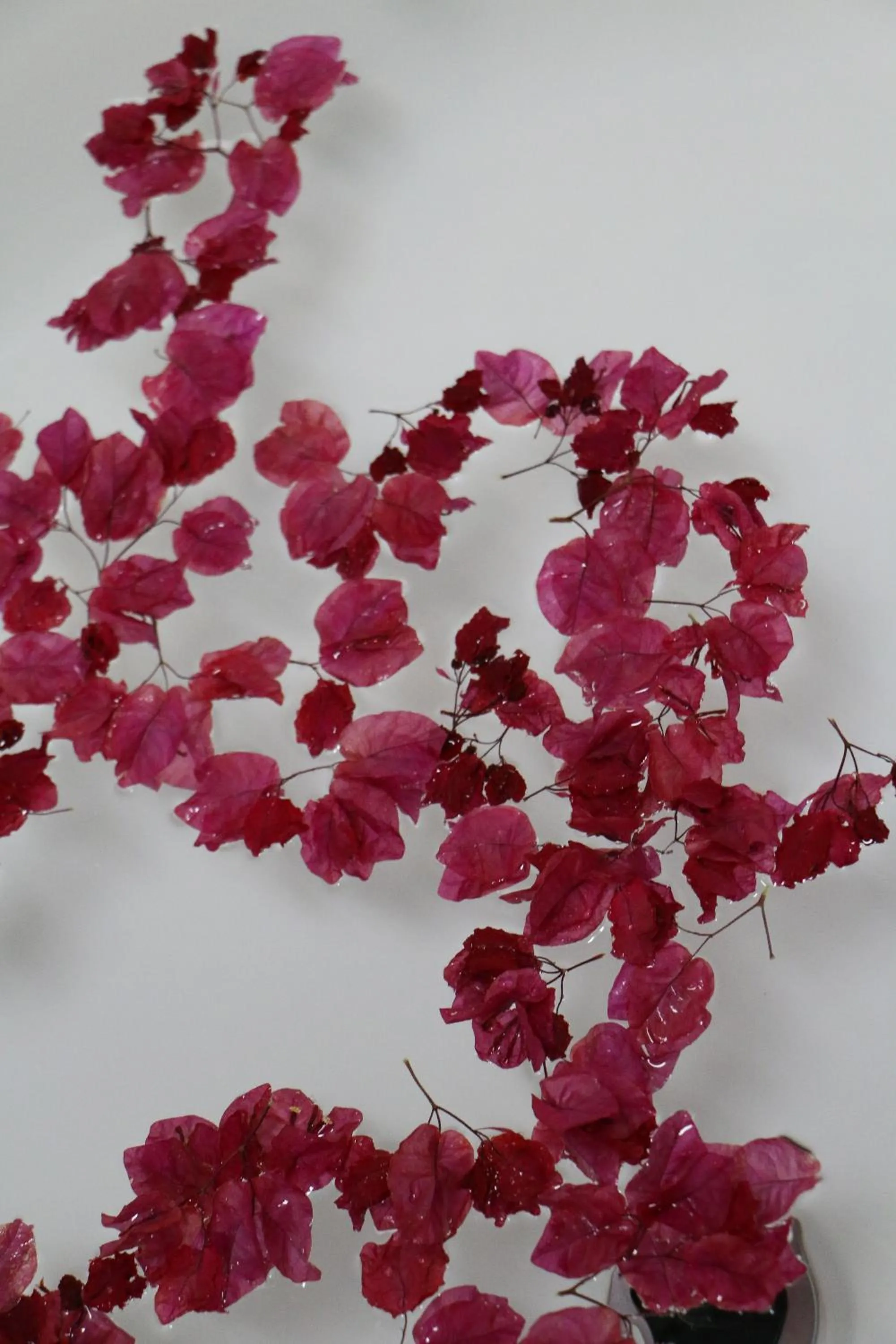 Bathroom in Daisy Country Lodge