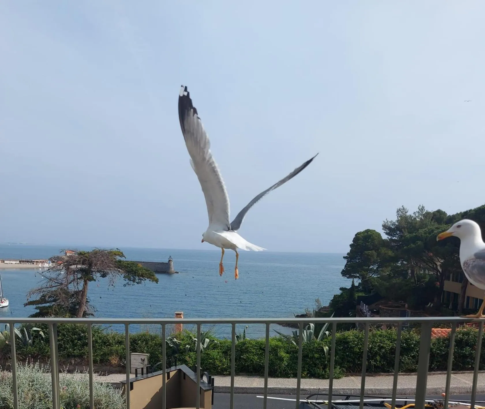 Natural landscape in Hotel Le Bon Port