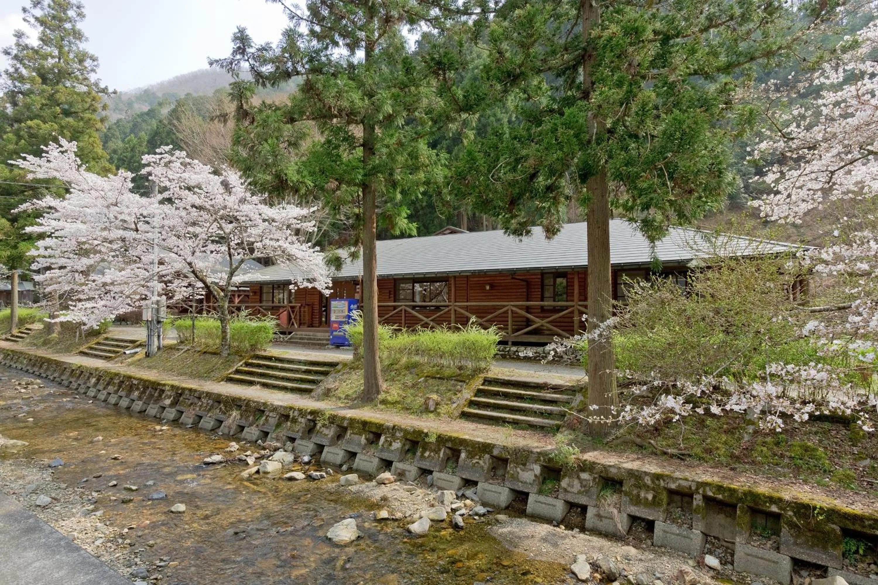 Photo of the whole room in Hiyoshi Forest Resort Yamanoie