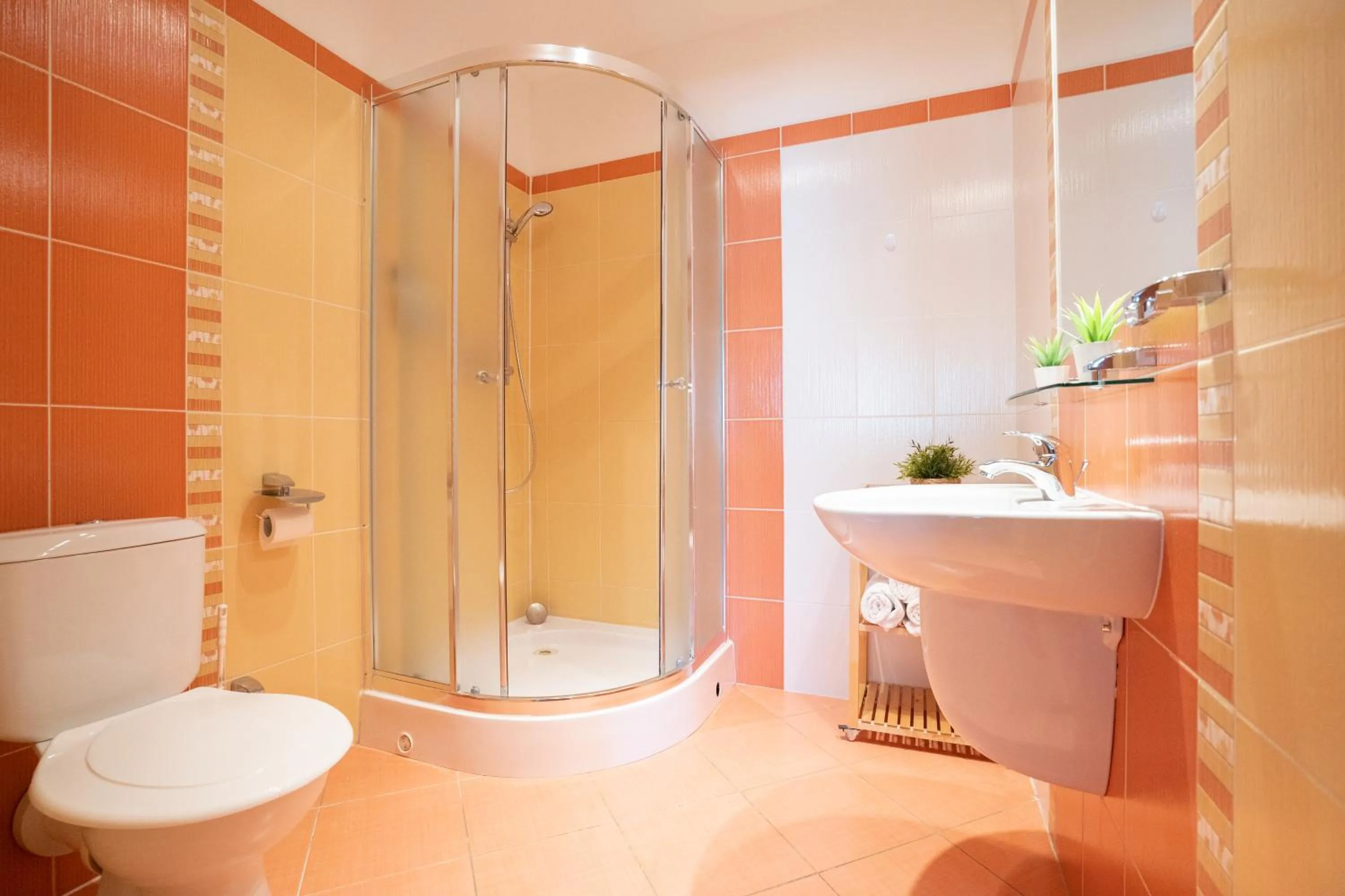 Bathroom in Apartmán Lípa-Lipno