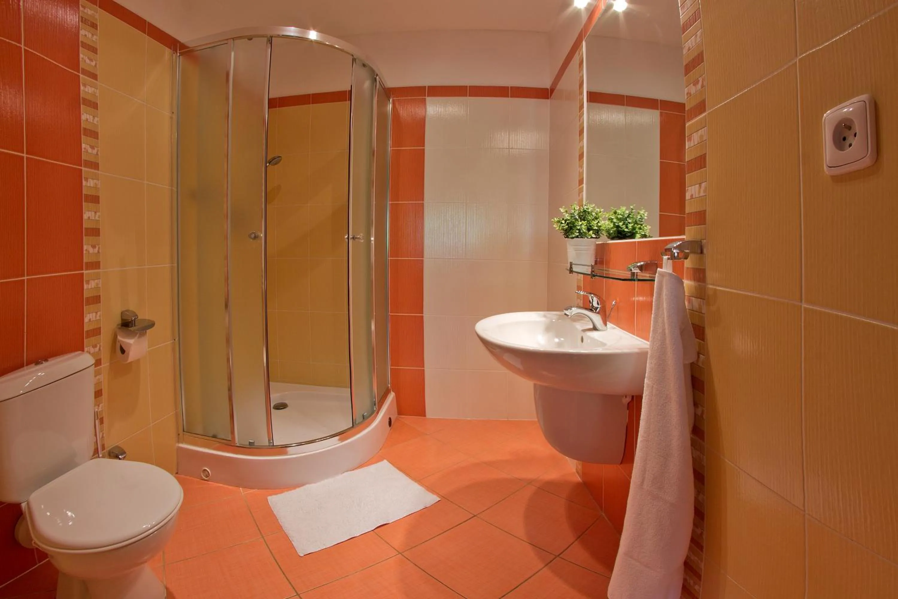Shower in Apartmán Lípa-Lipno