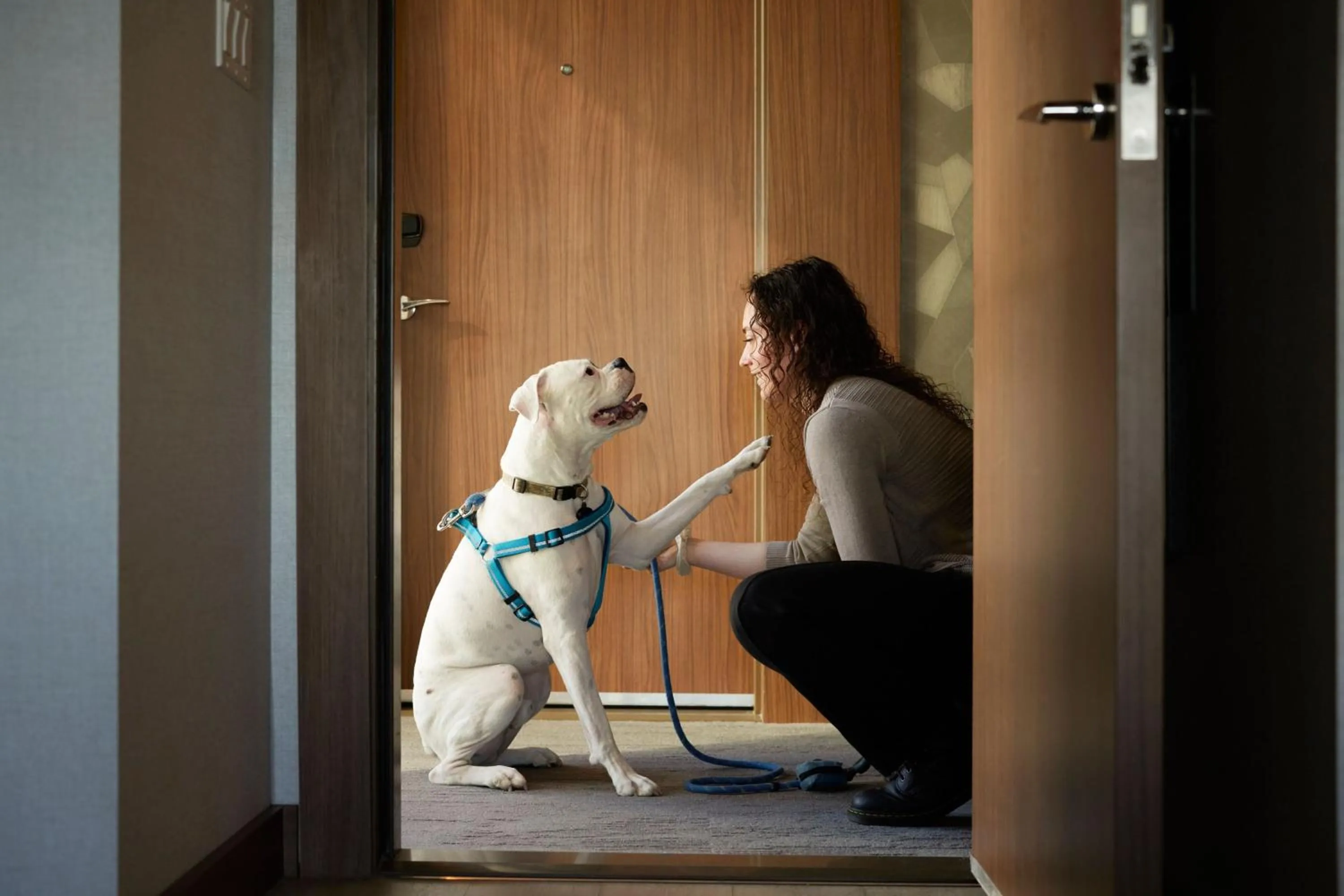 Photo of the whole room in AC Hotel by Marriott Denver Downtown