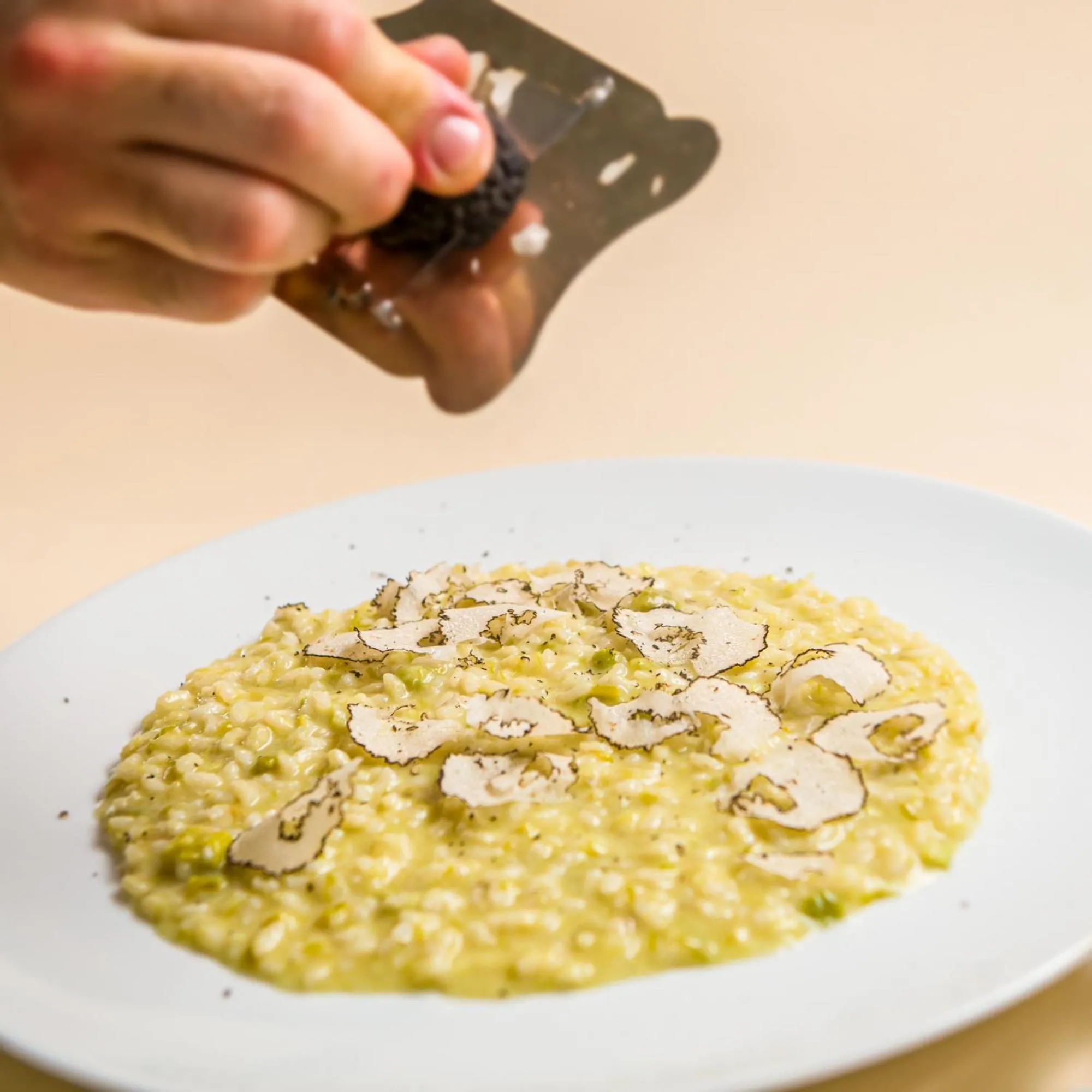 Restaurant/places to eat in Hotel Minerva