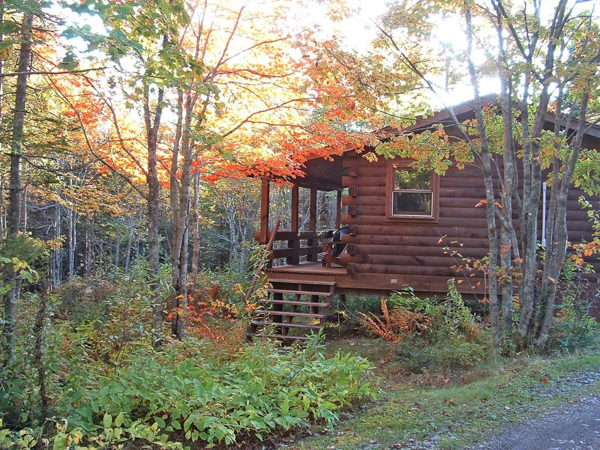 Facade/entrance in Vipilodge